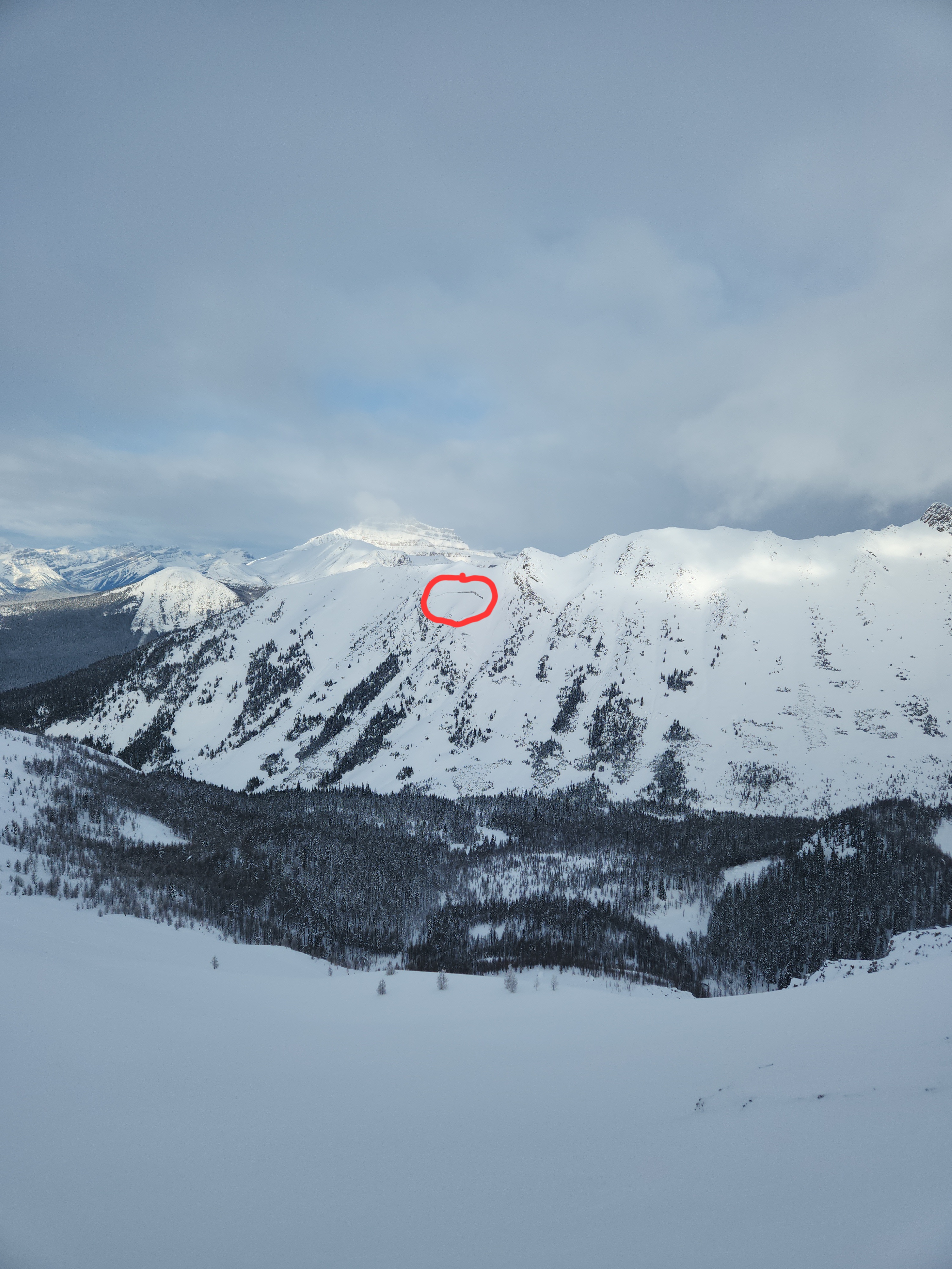 Observation photo