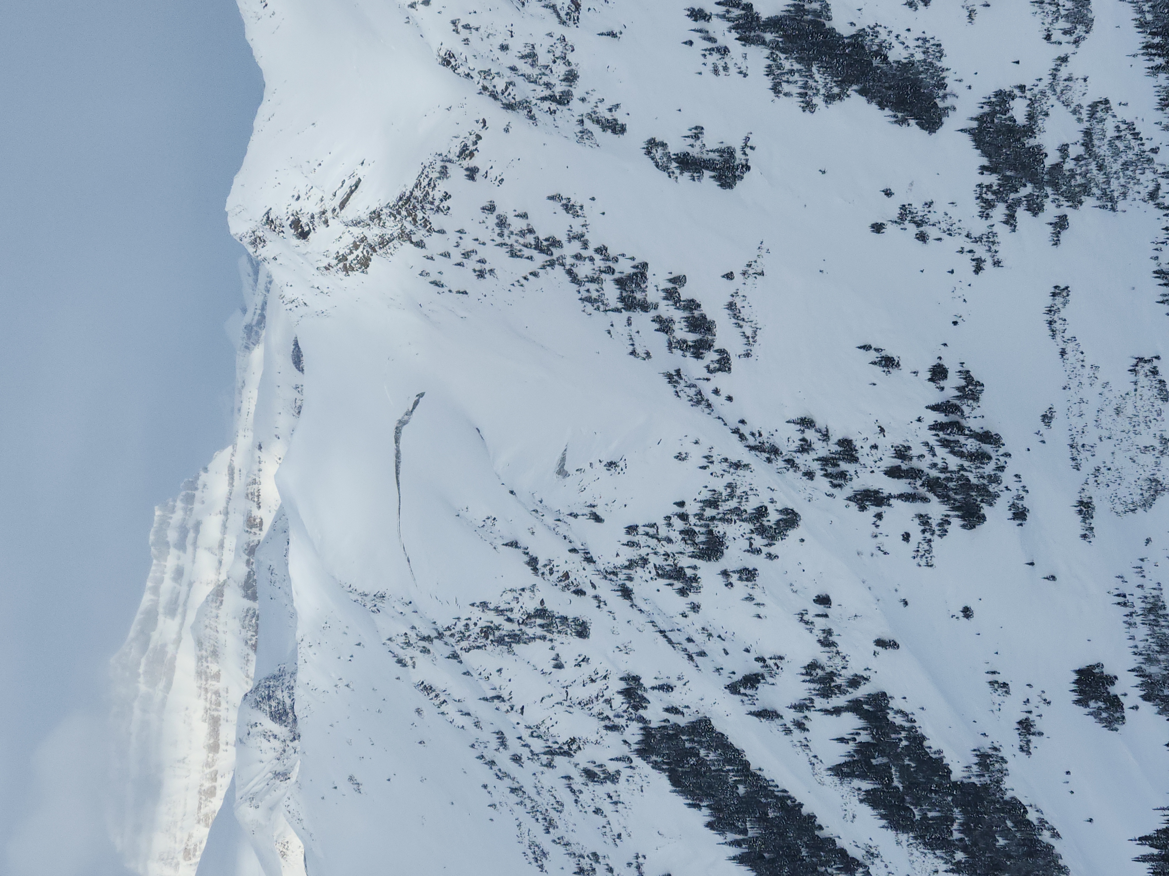 Observation photo