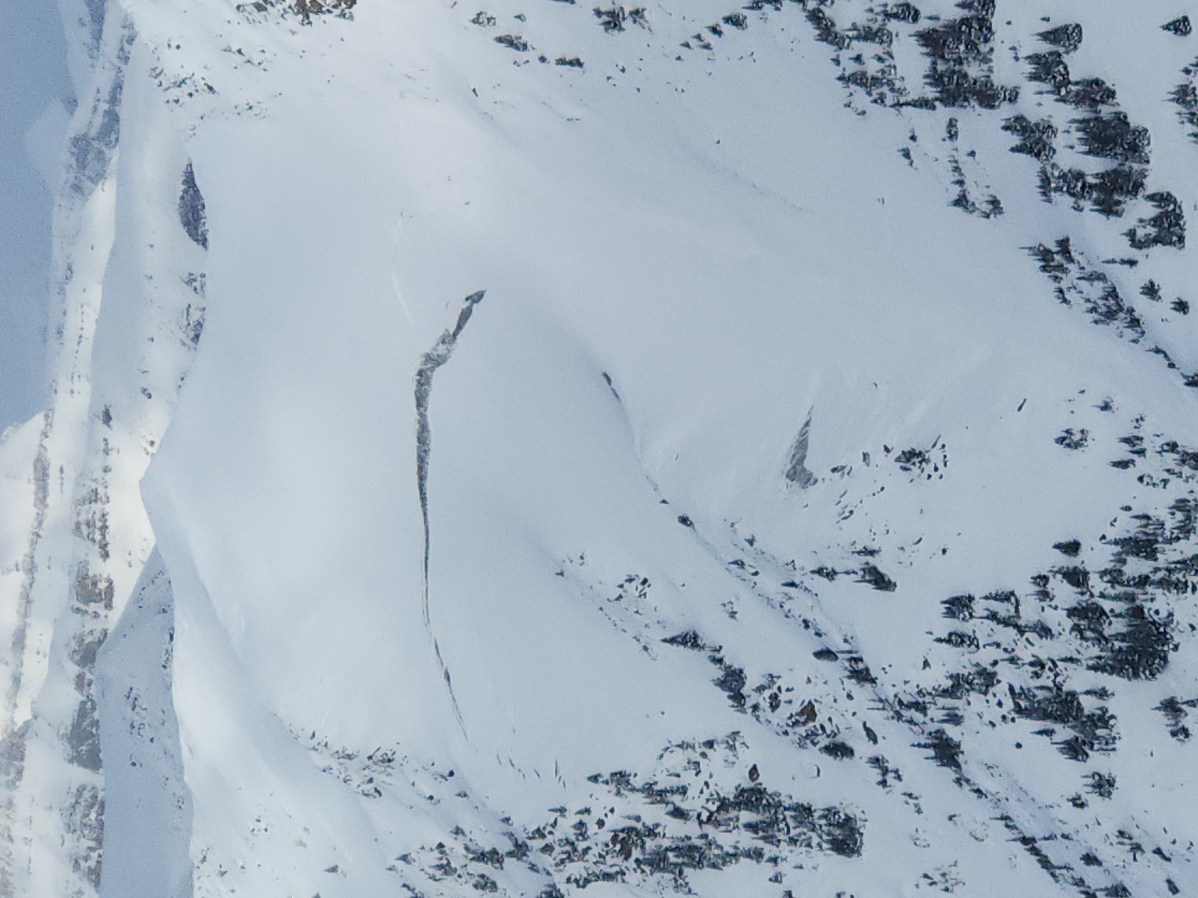 Observation photo