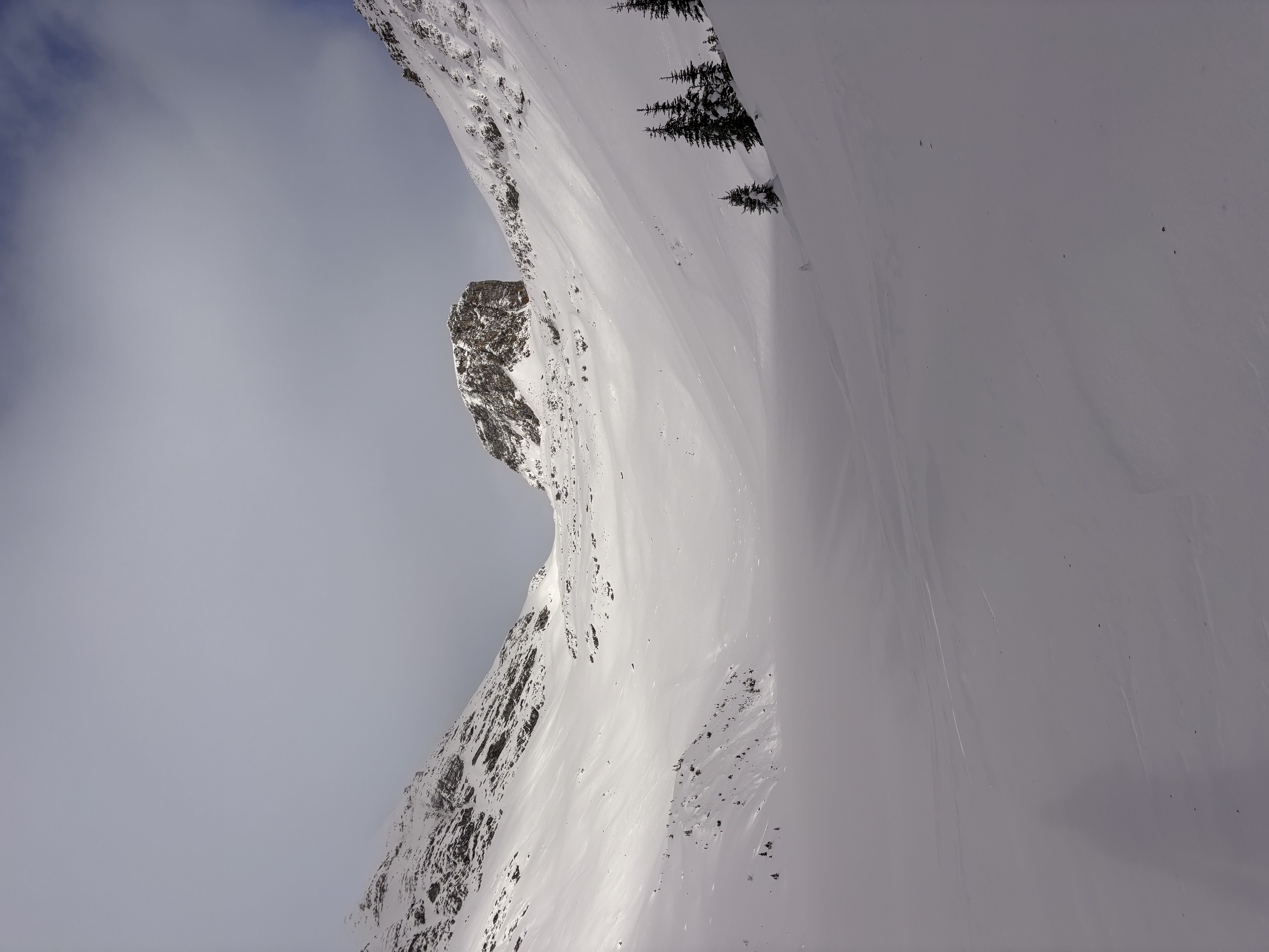 Observation photo
