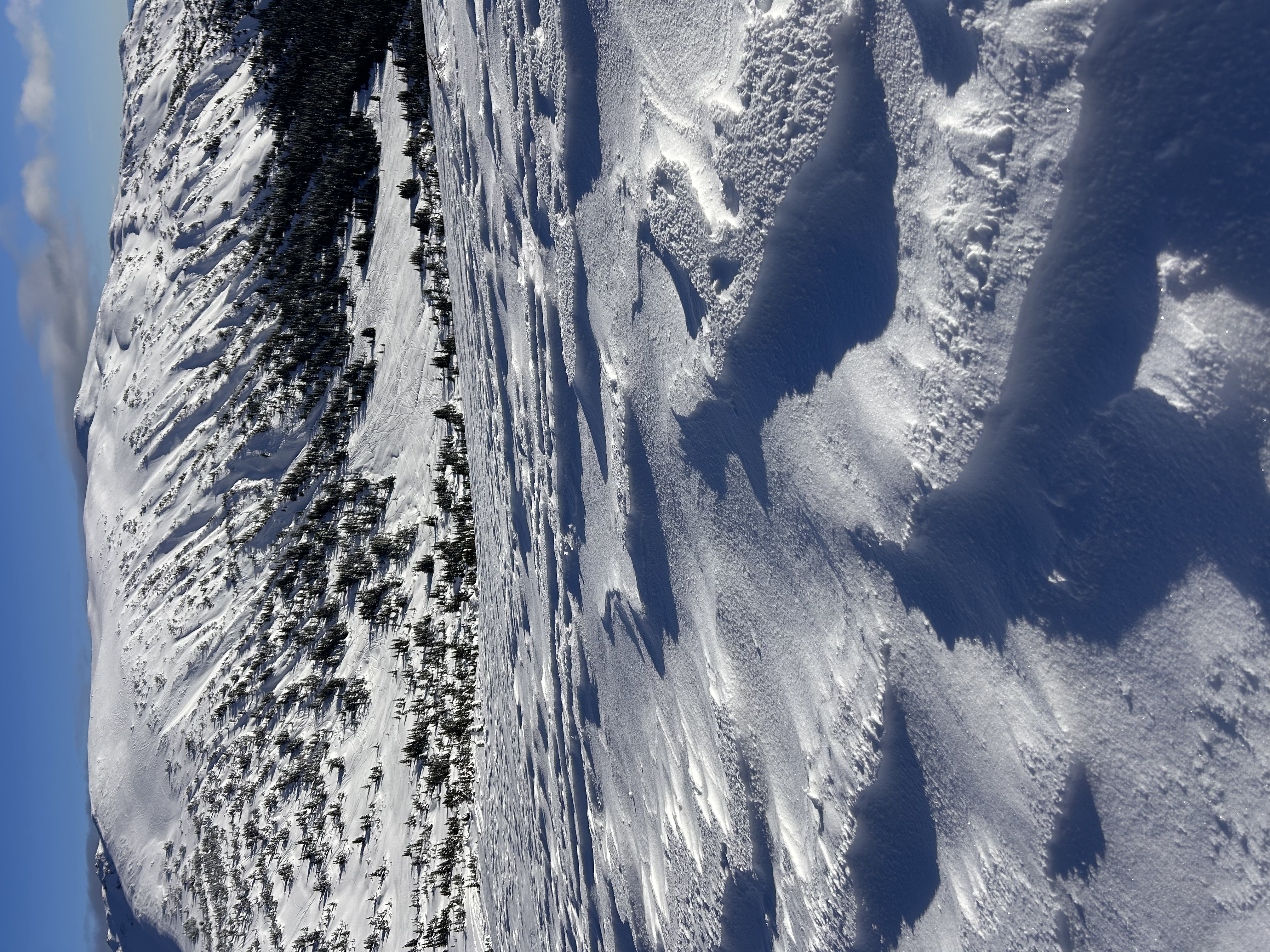 Observation photo