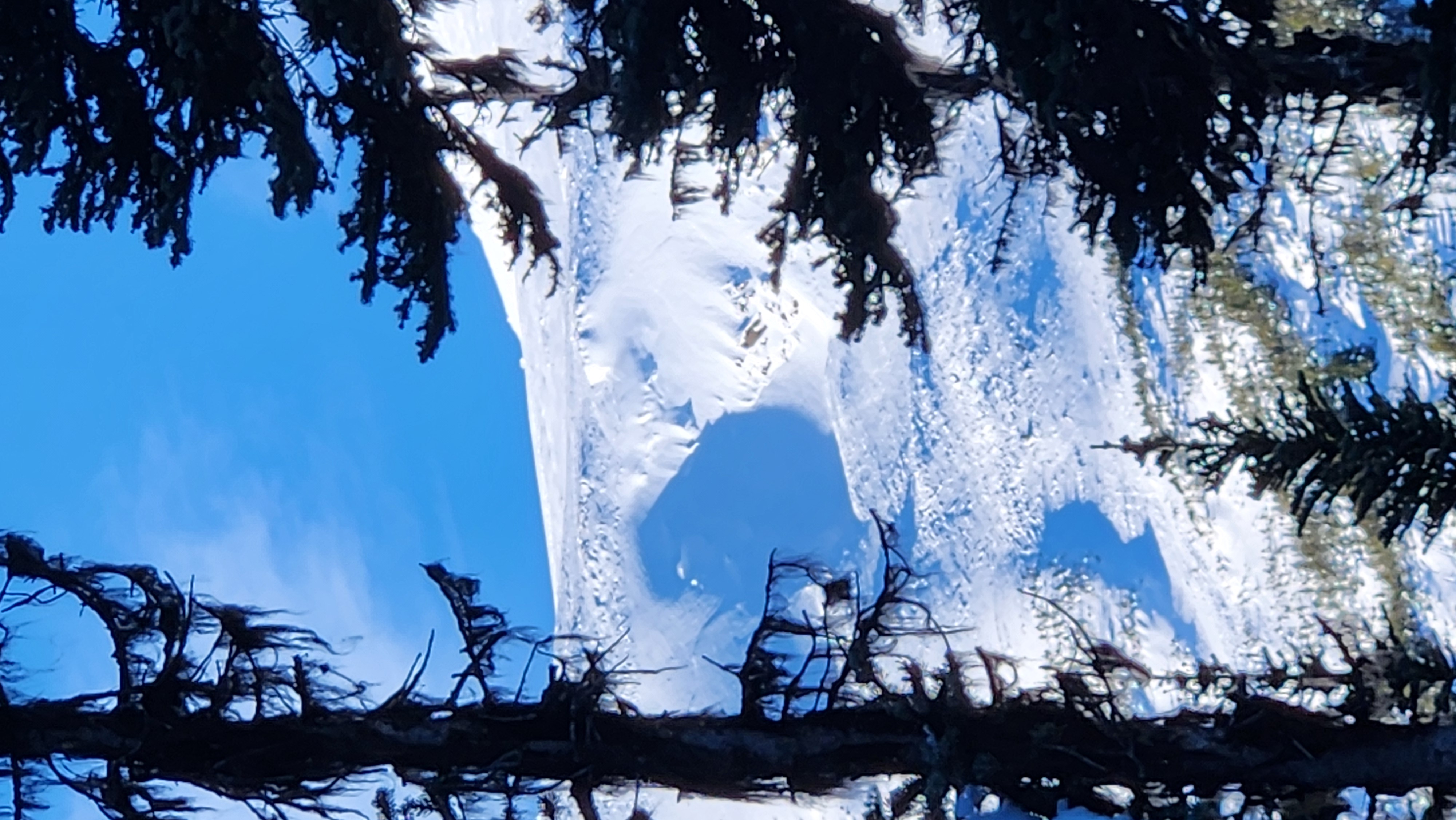 Observation photo