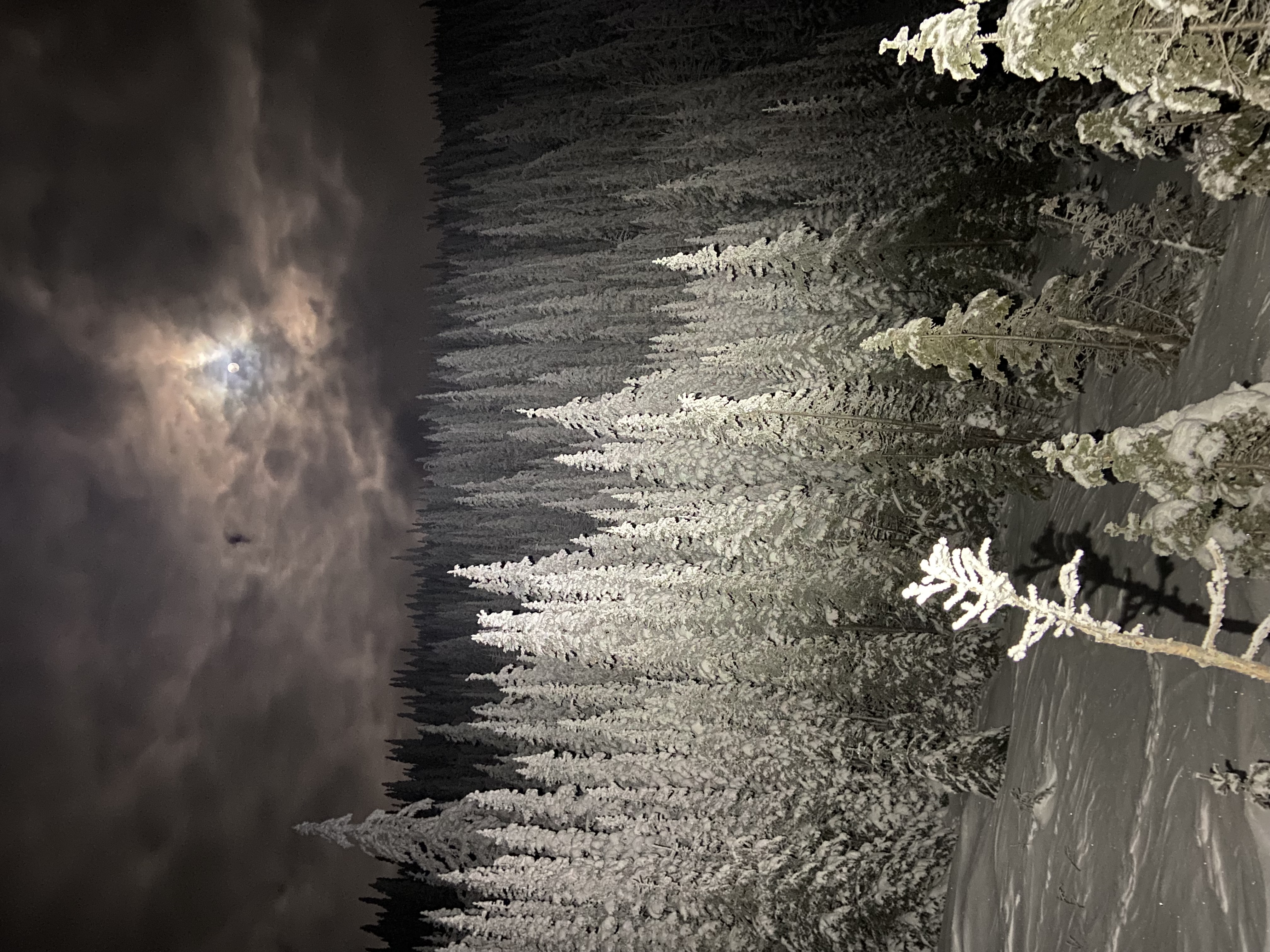 Observation photo