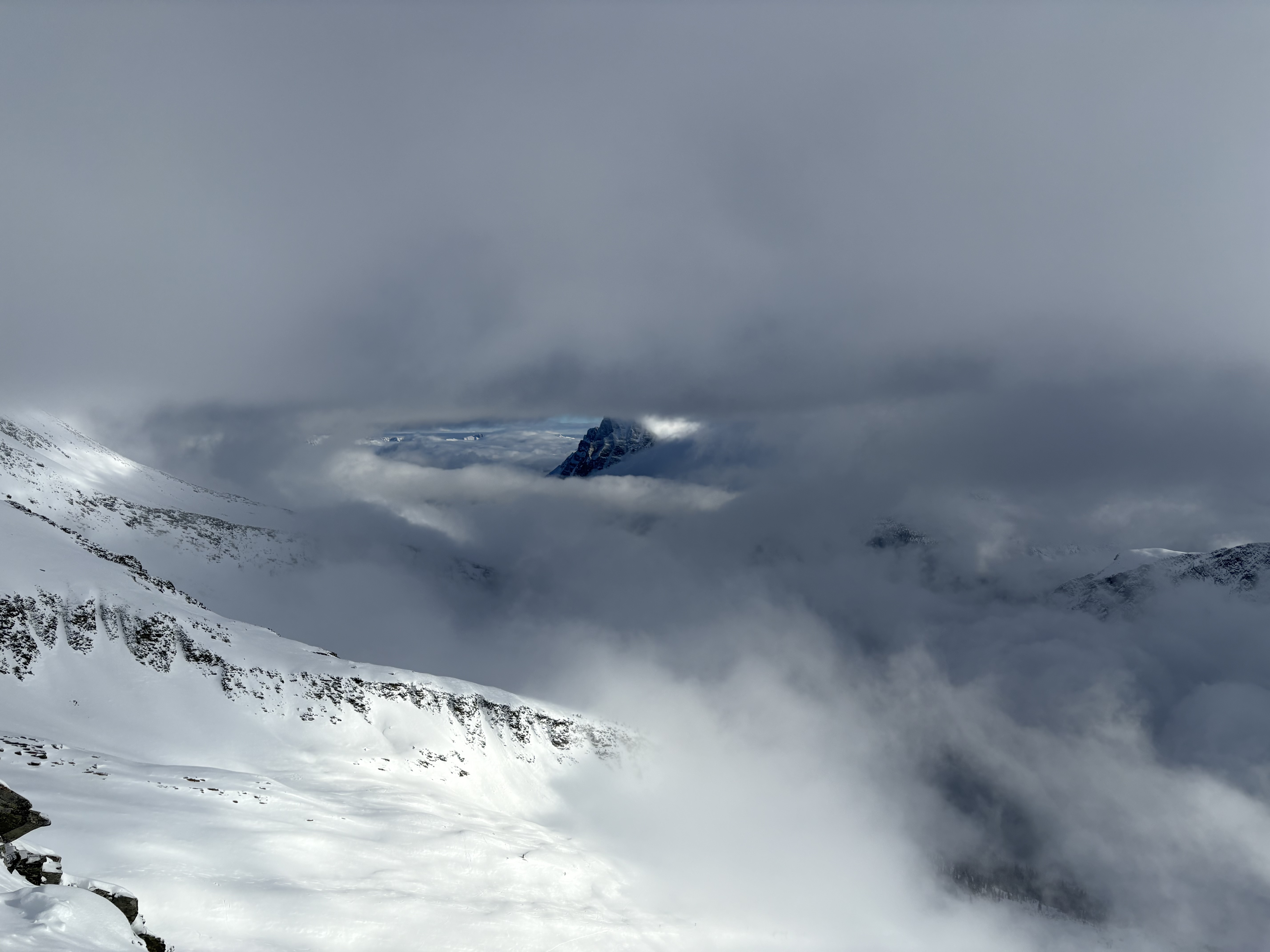 Observation photo