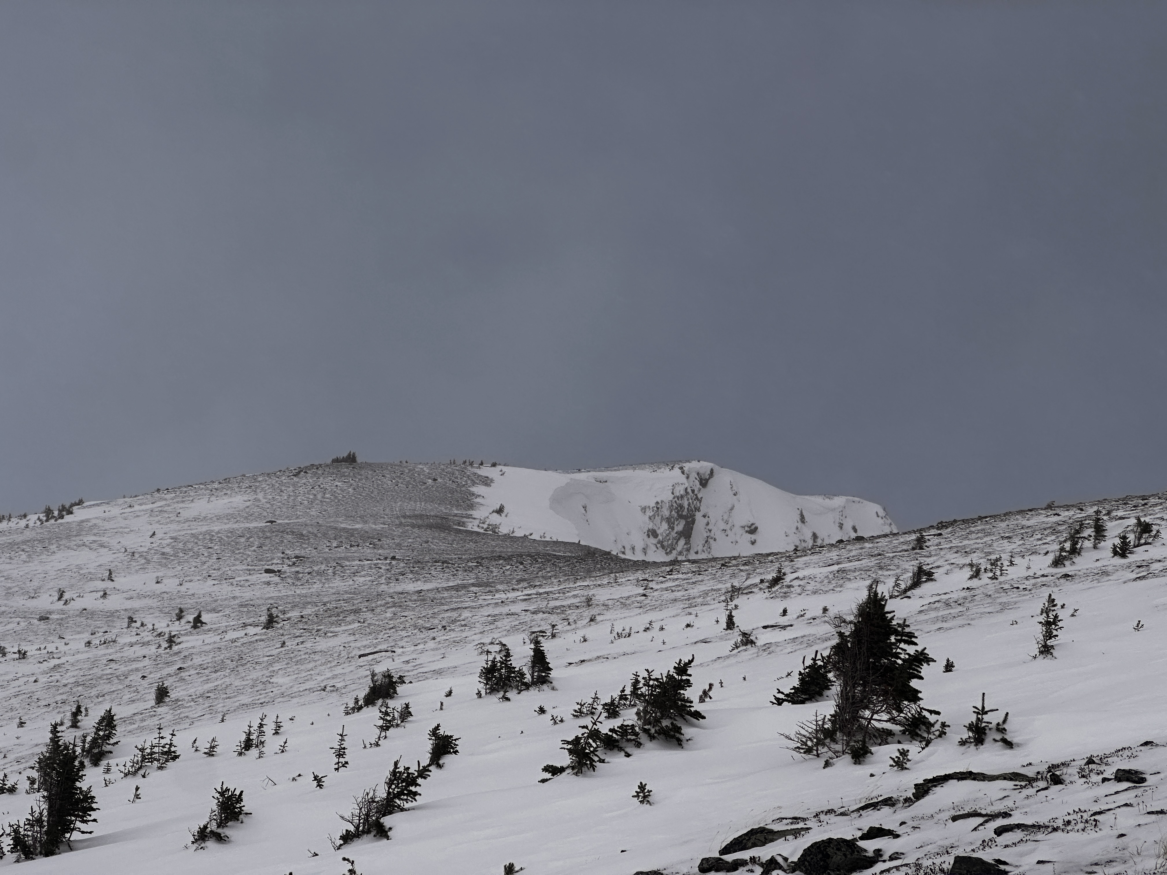 Observation photo