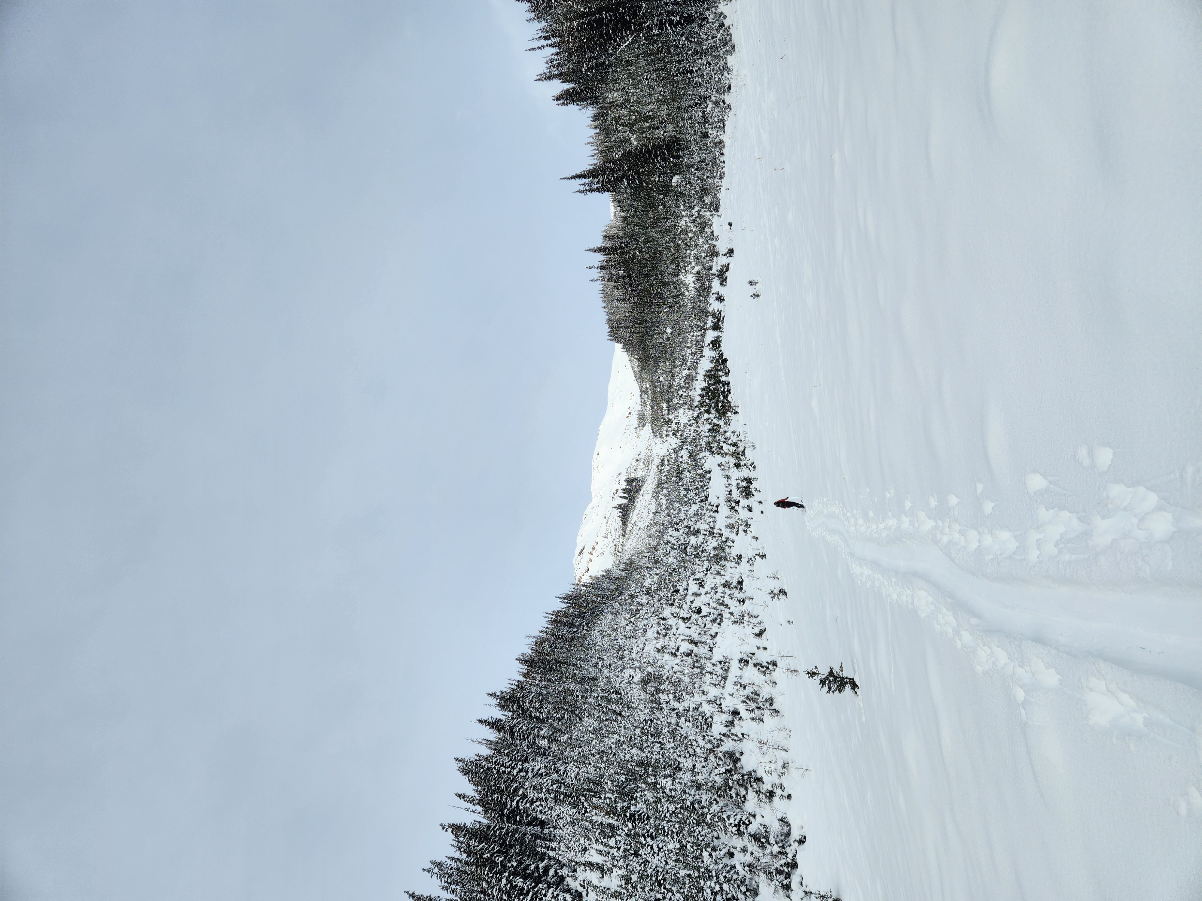 Observation photo