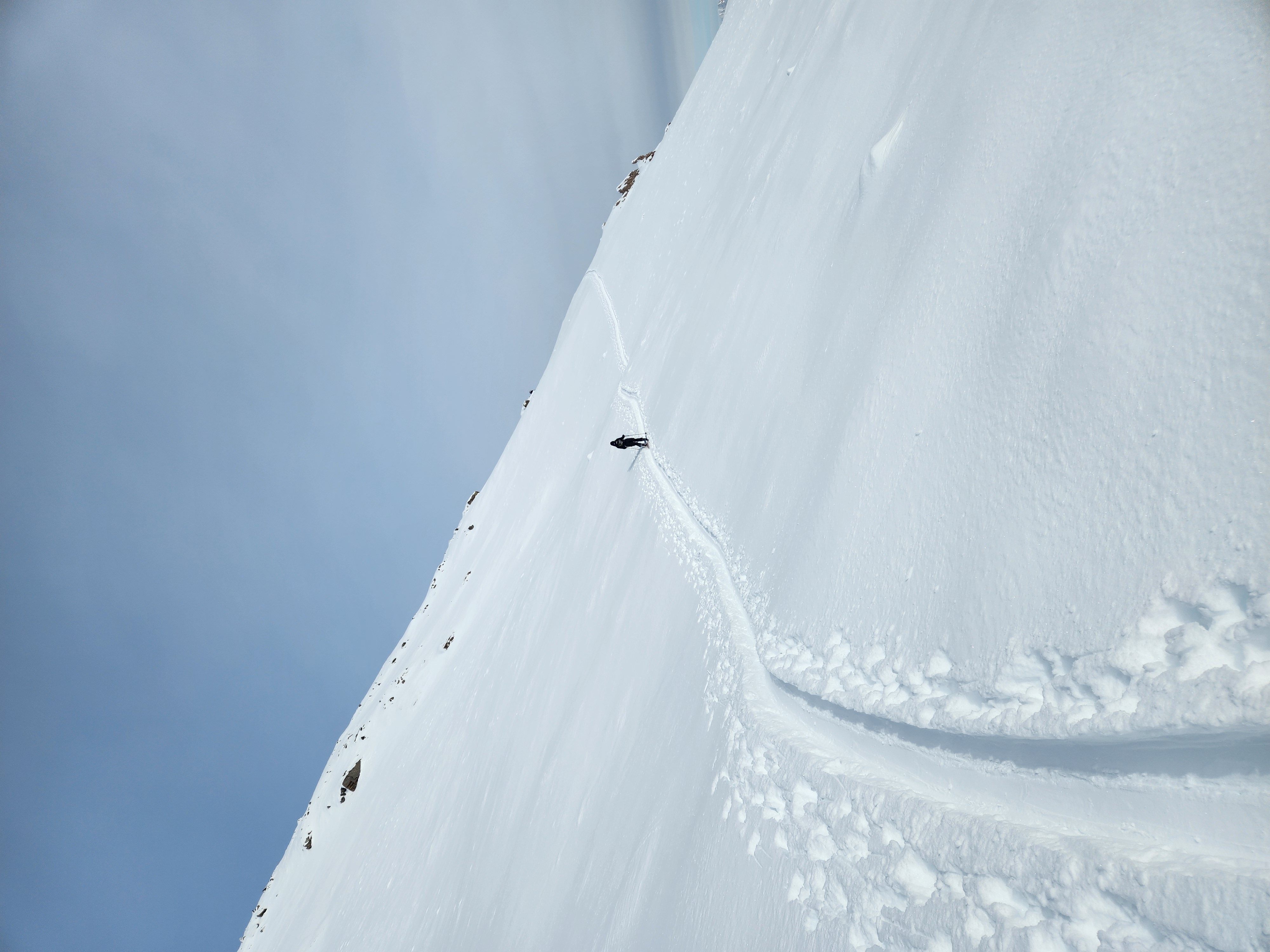 Observation photo