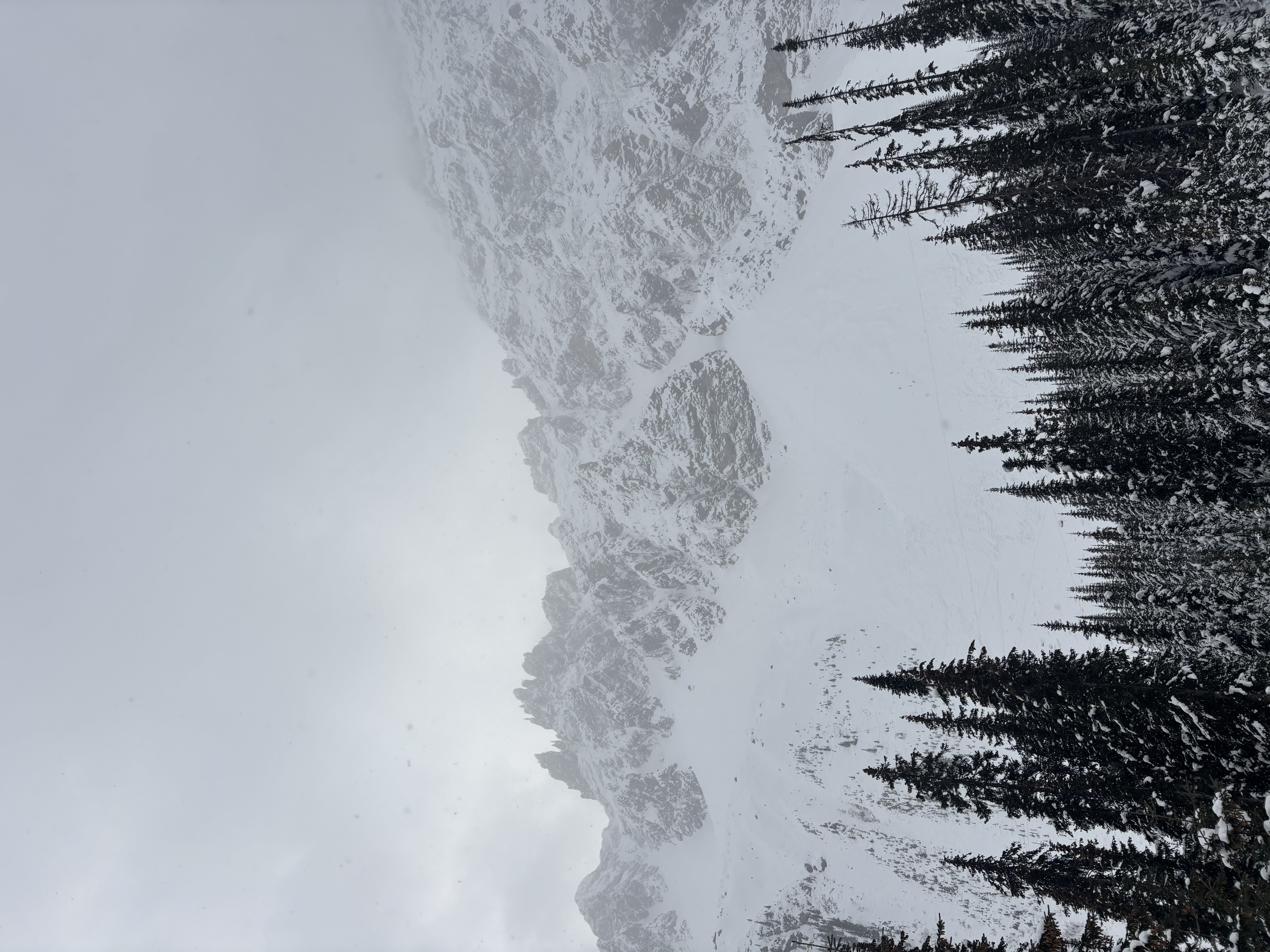 Observation photo