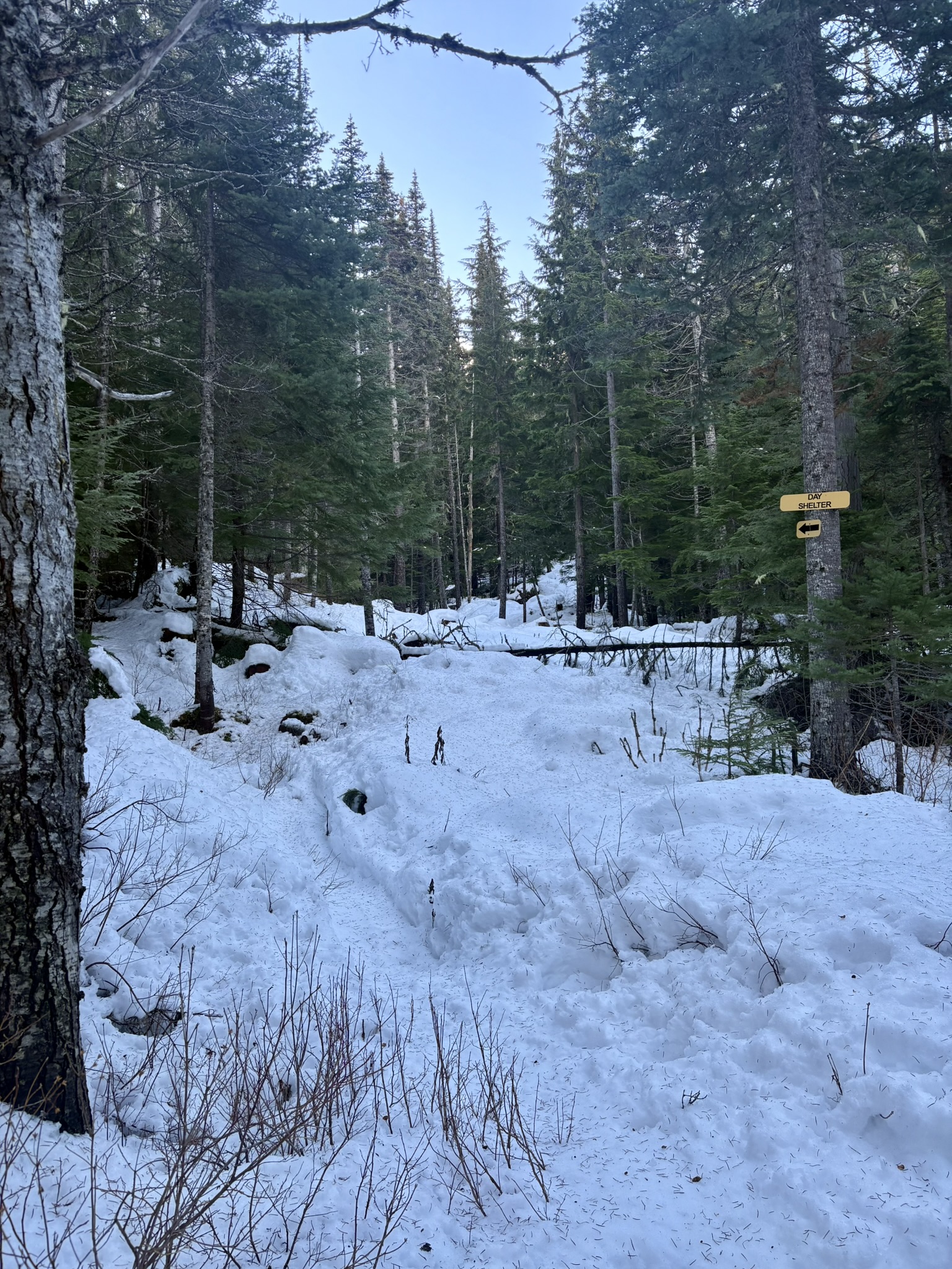 Observation photo