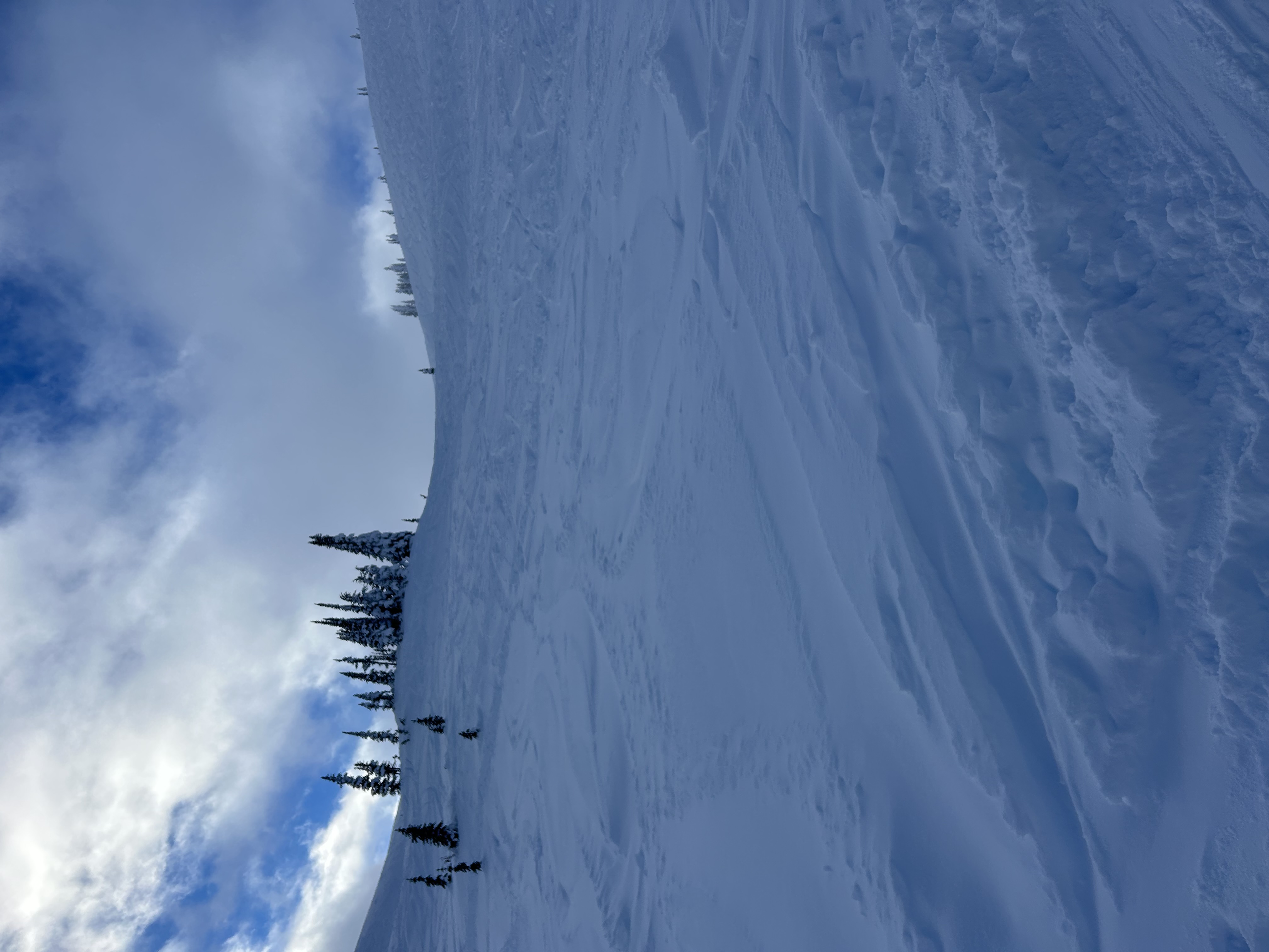 Observation photo