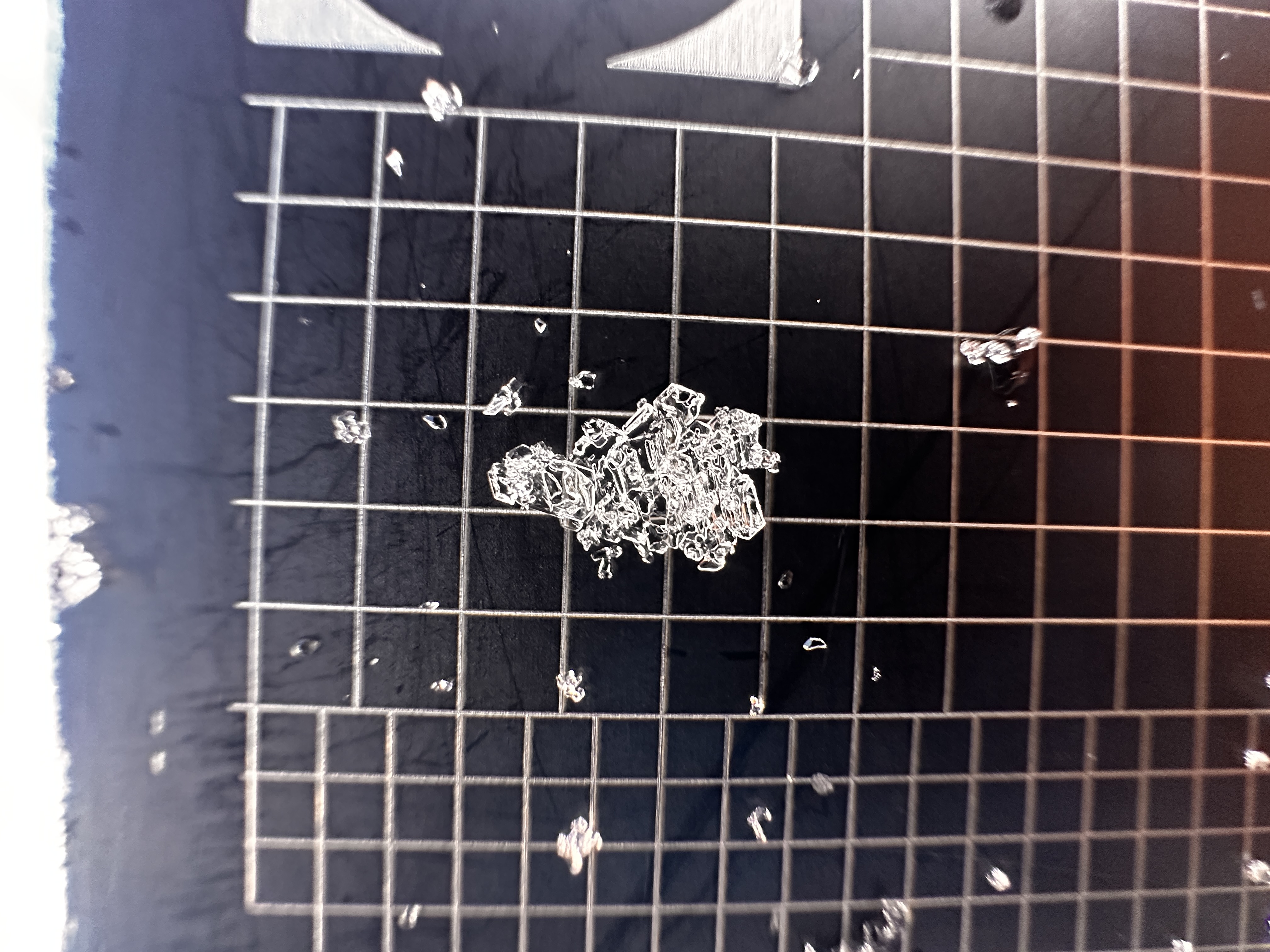 Observation photo