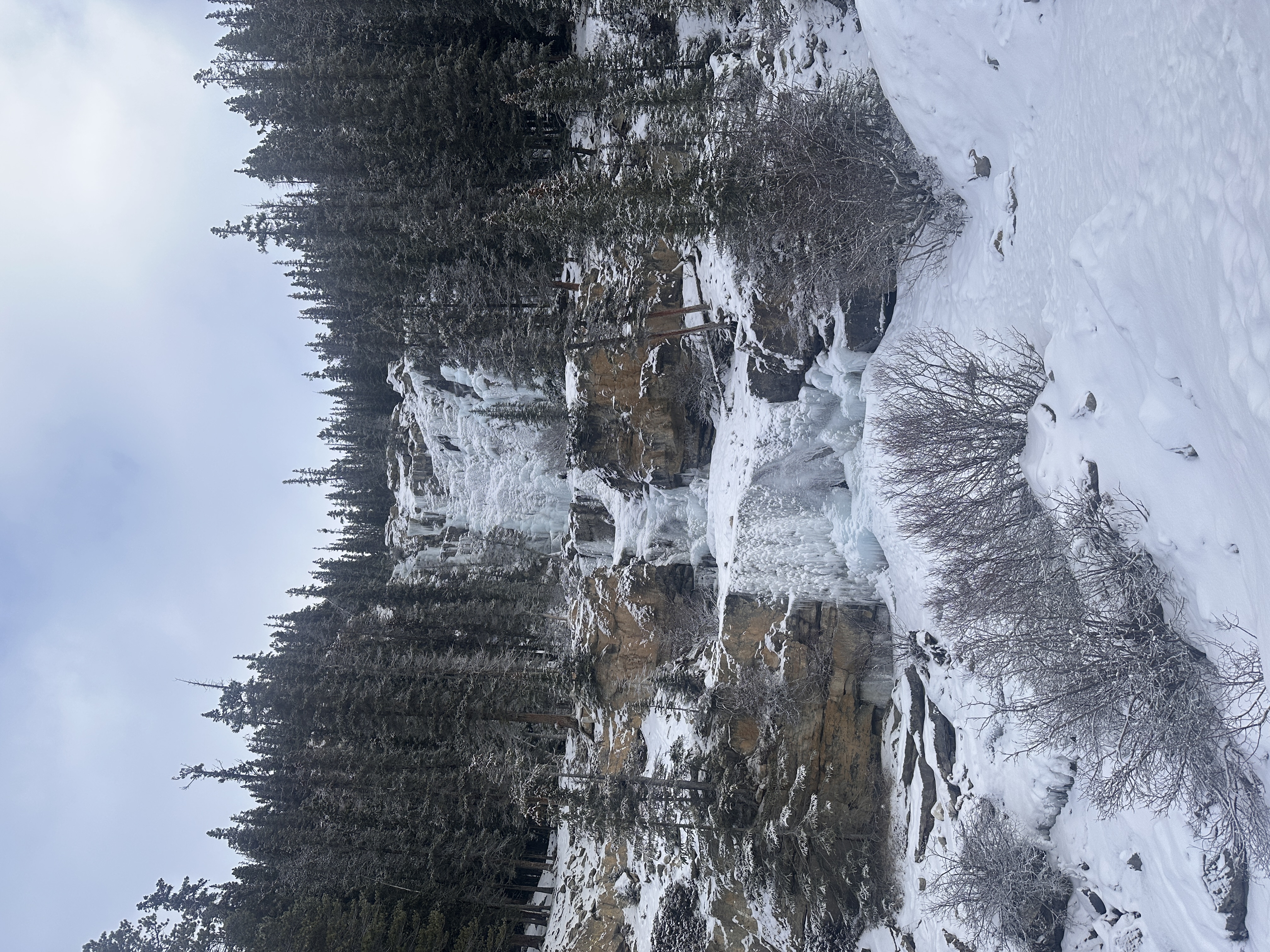 Observation photo