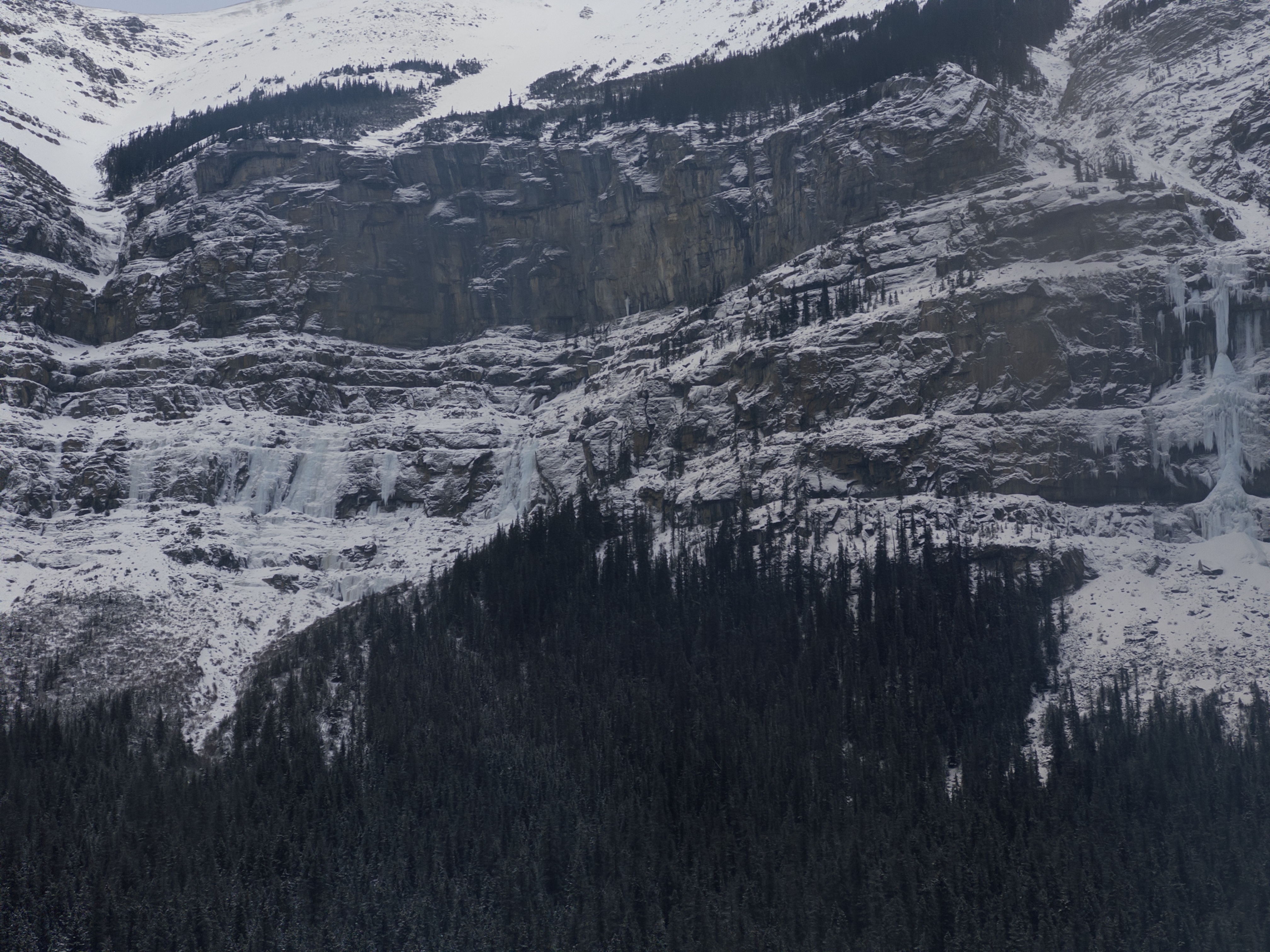Observation photo