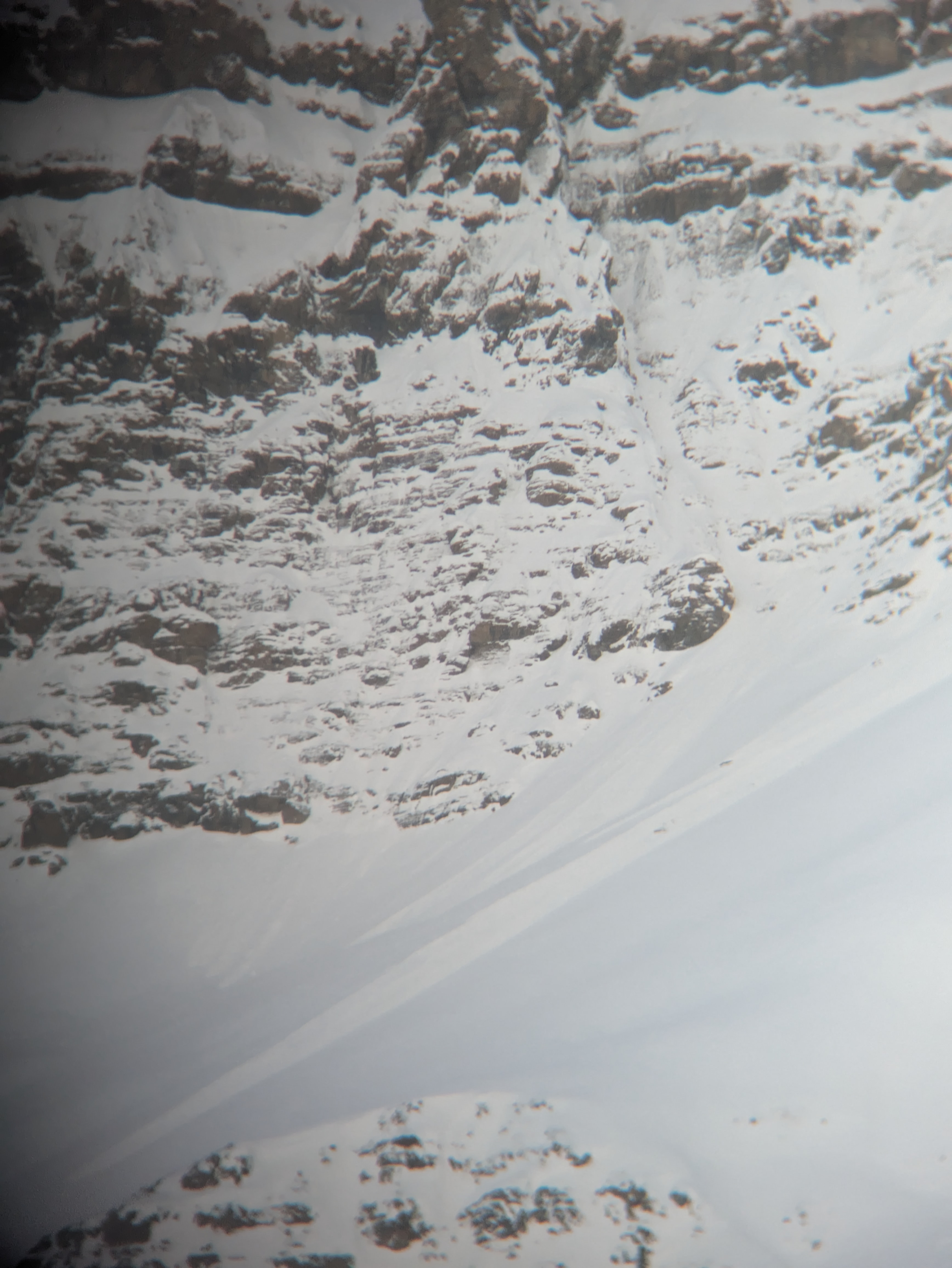 Observation photo