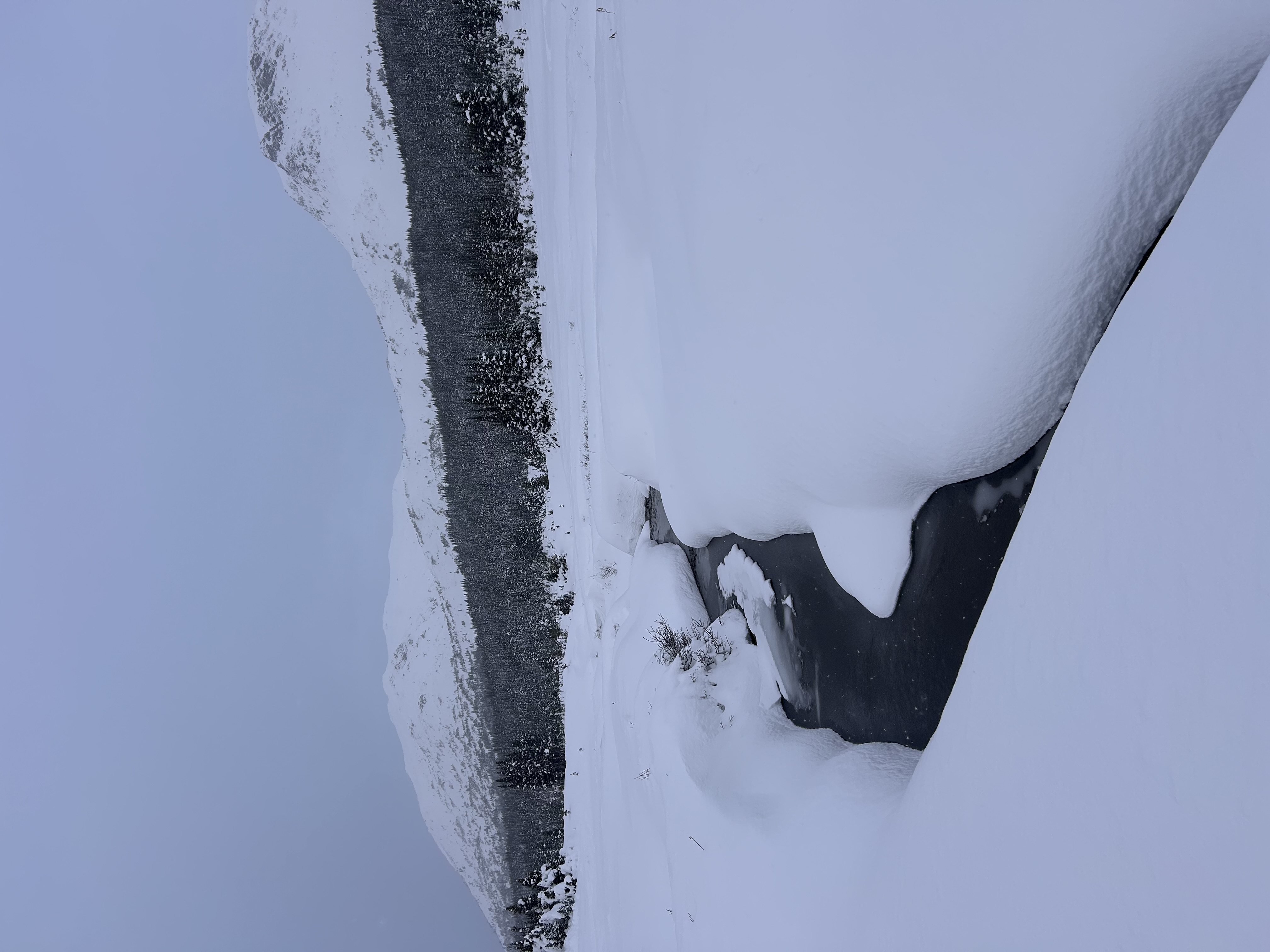 Observation photo