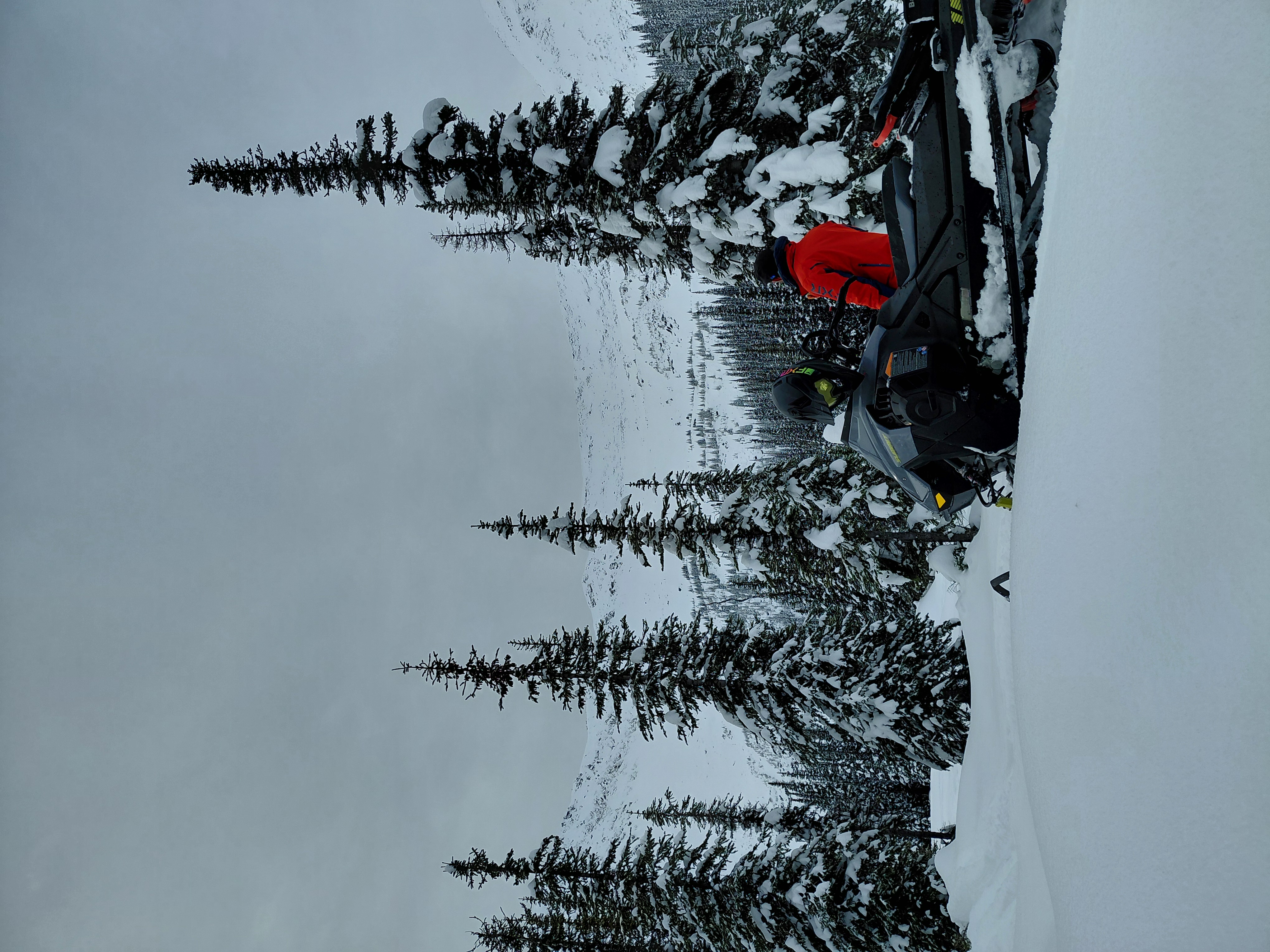 Observation photo