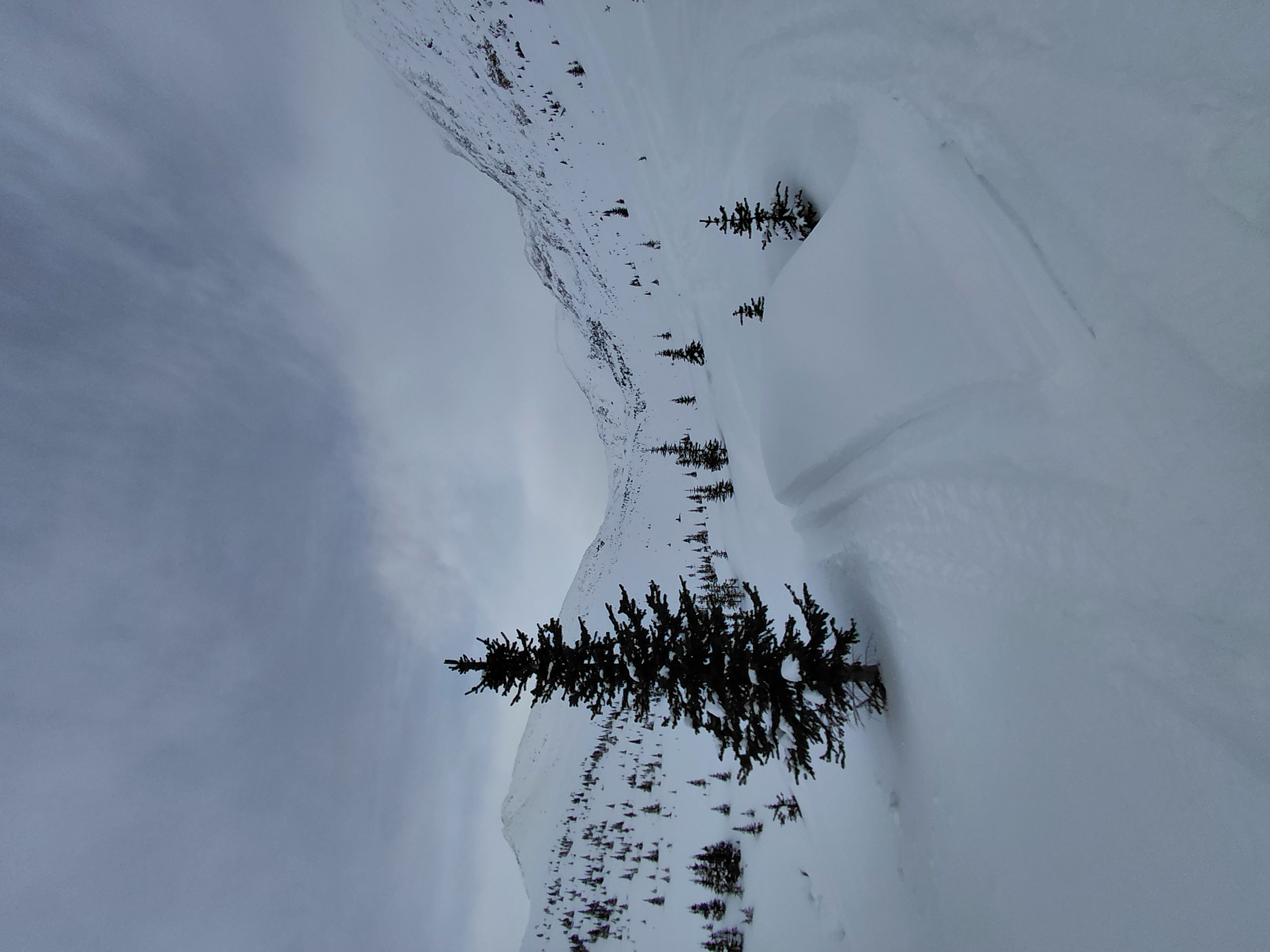 Observation photo