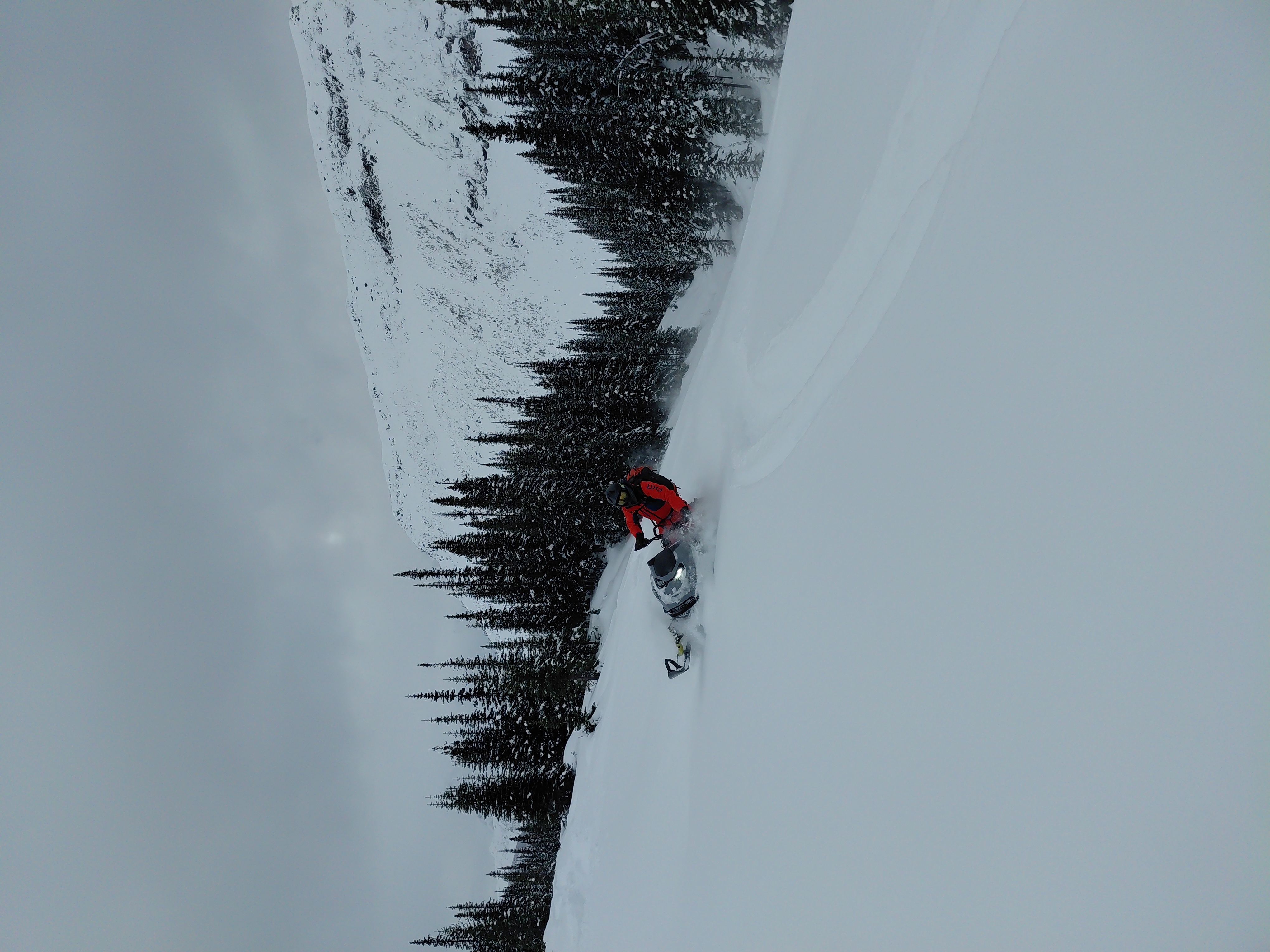 Observation photo
