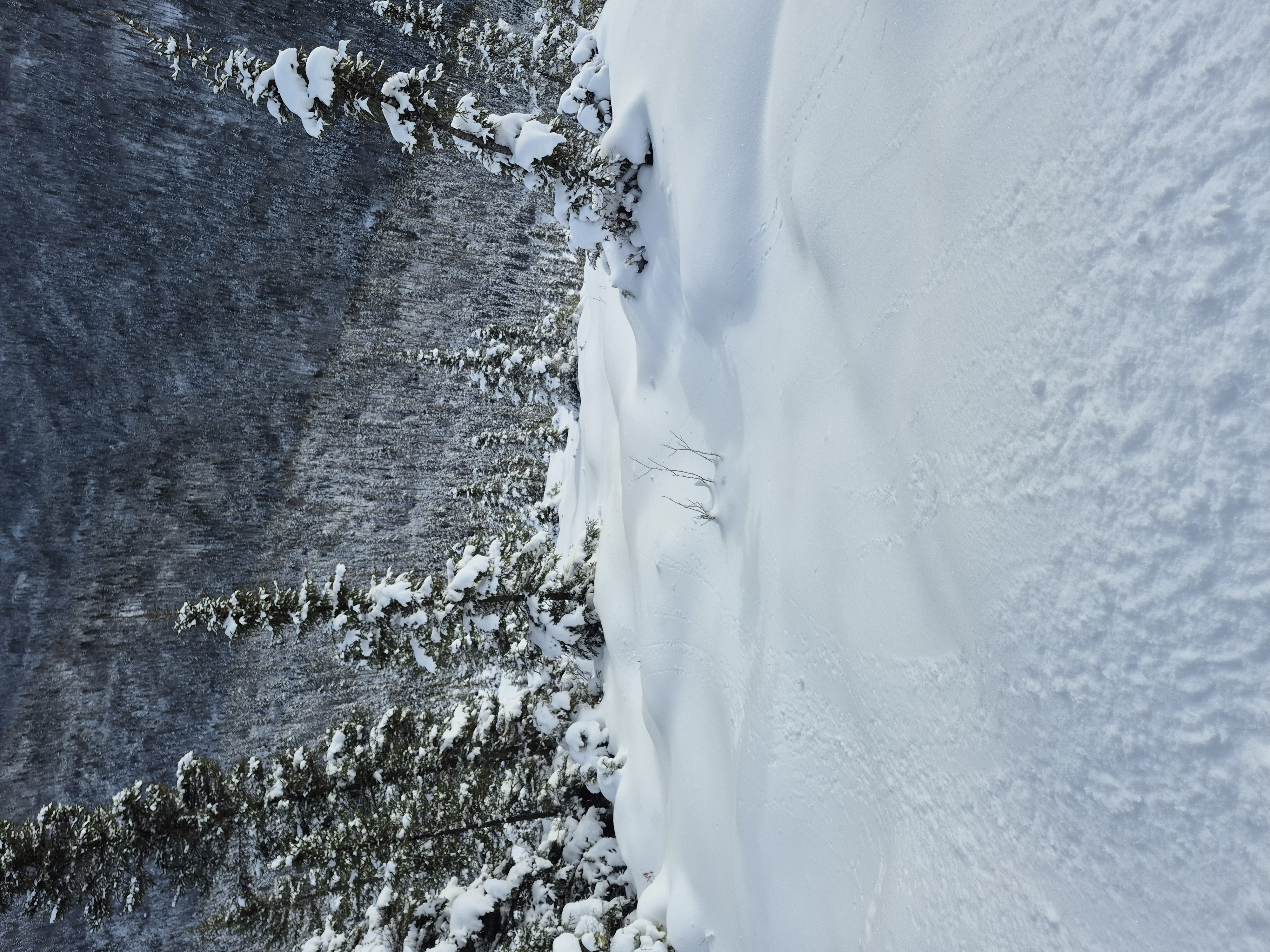 Observation photo