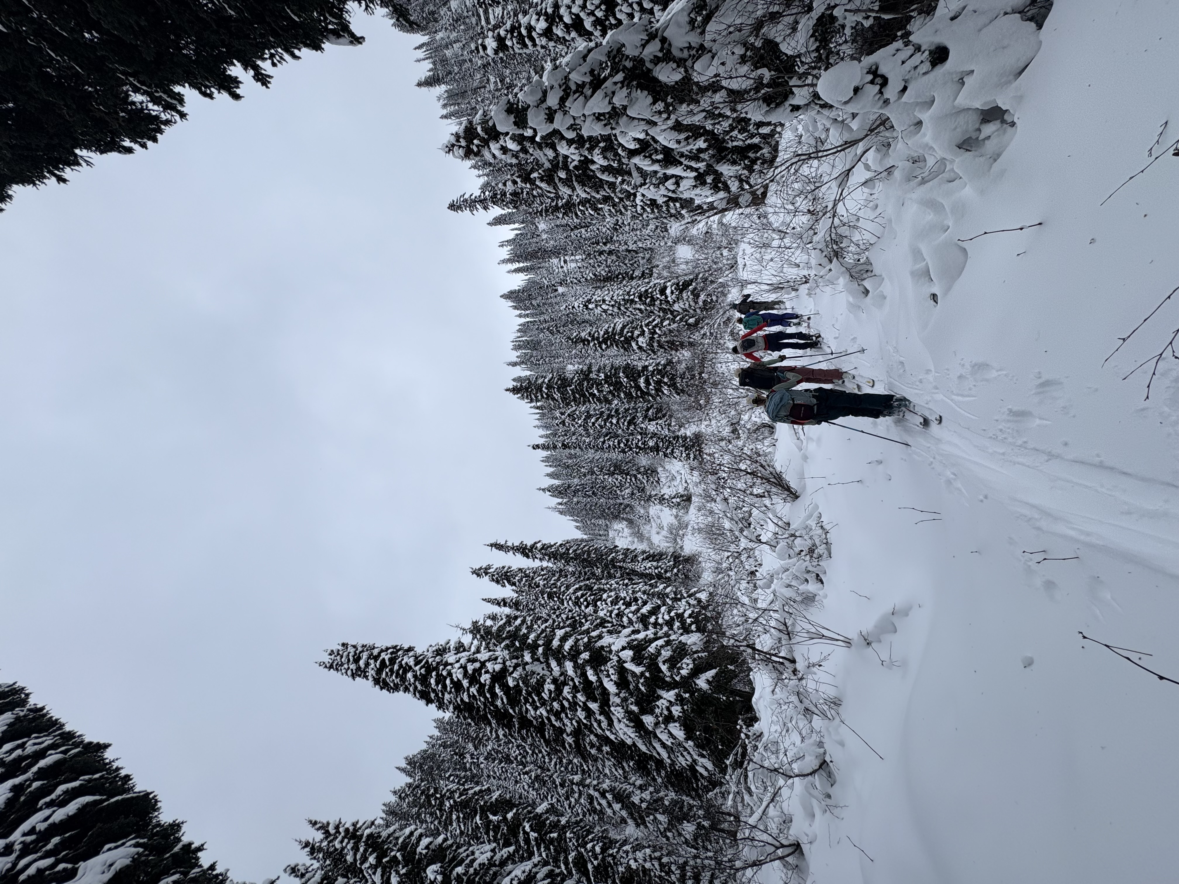 Observation photo
