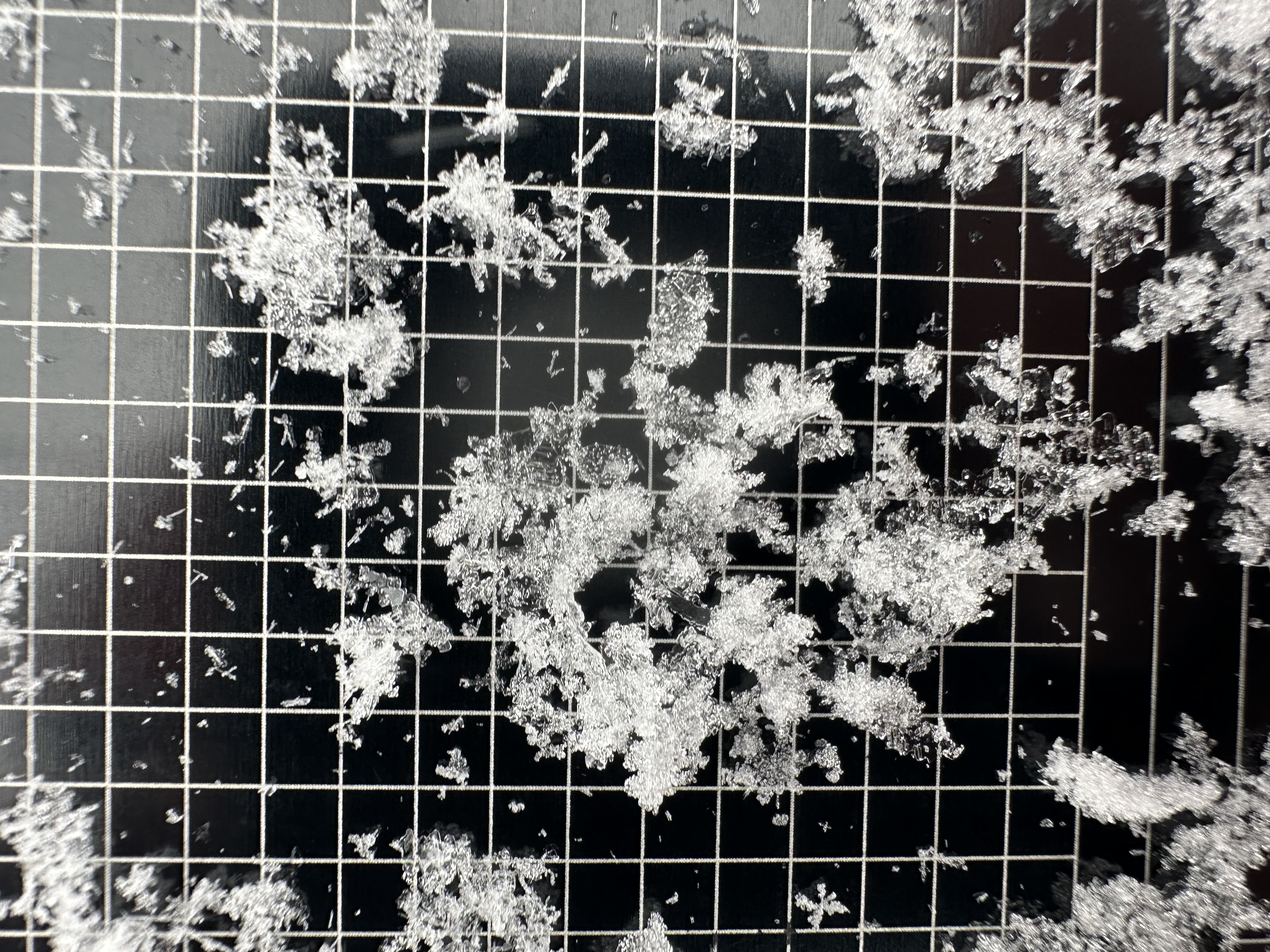 Observation photo