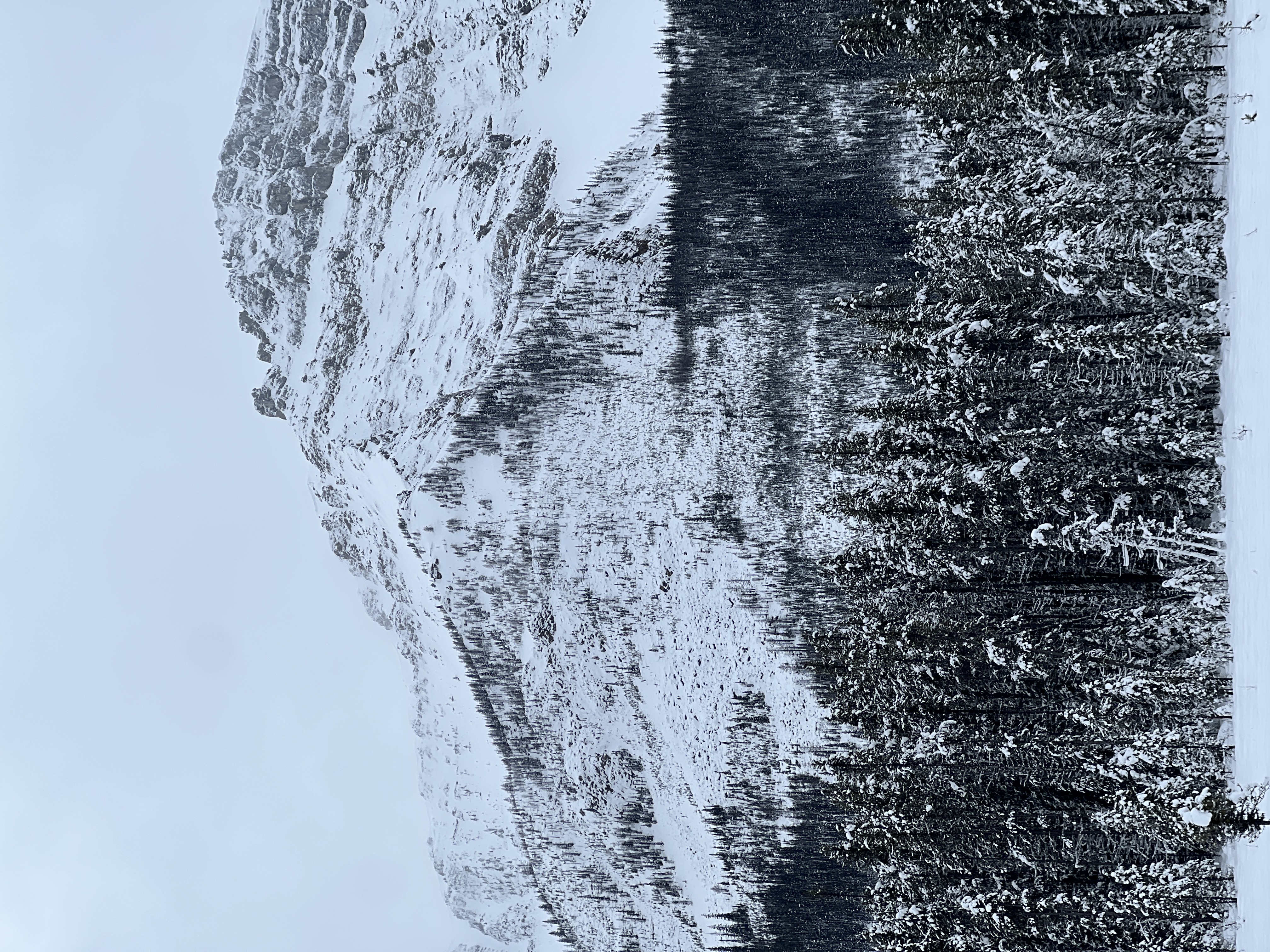 Observation photo