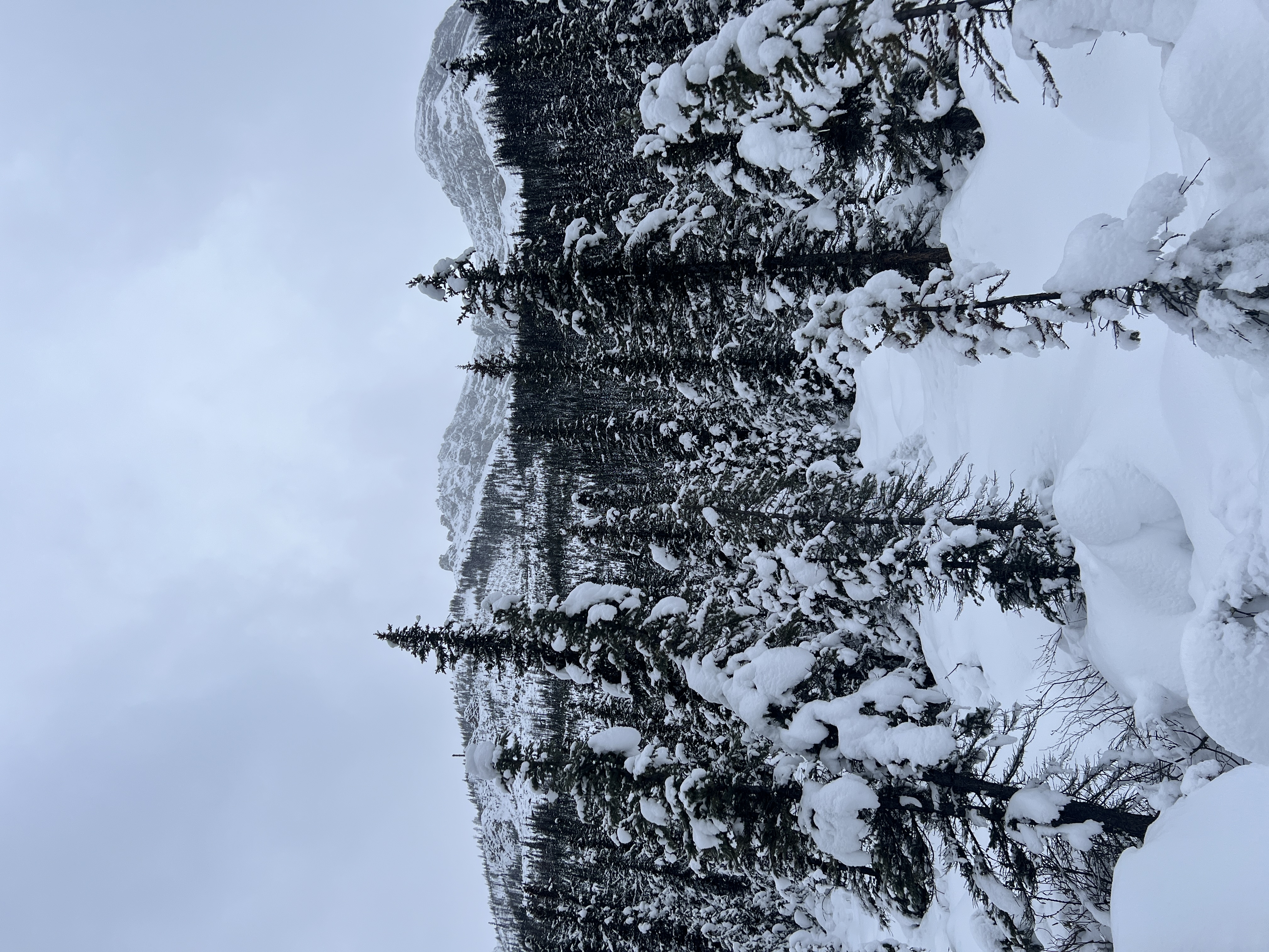Observation photo