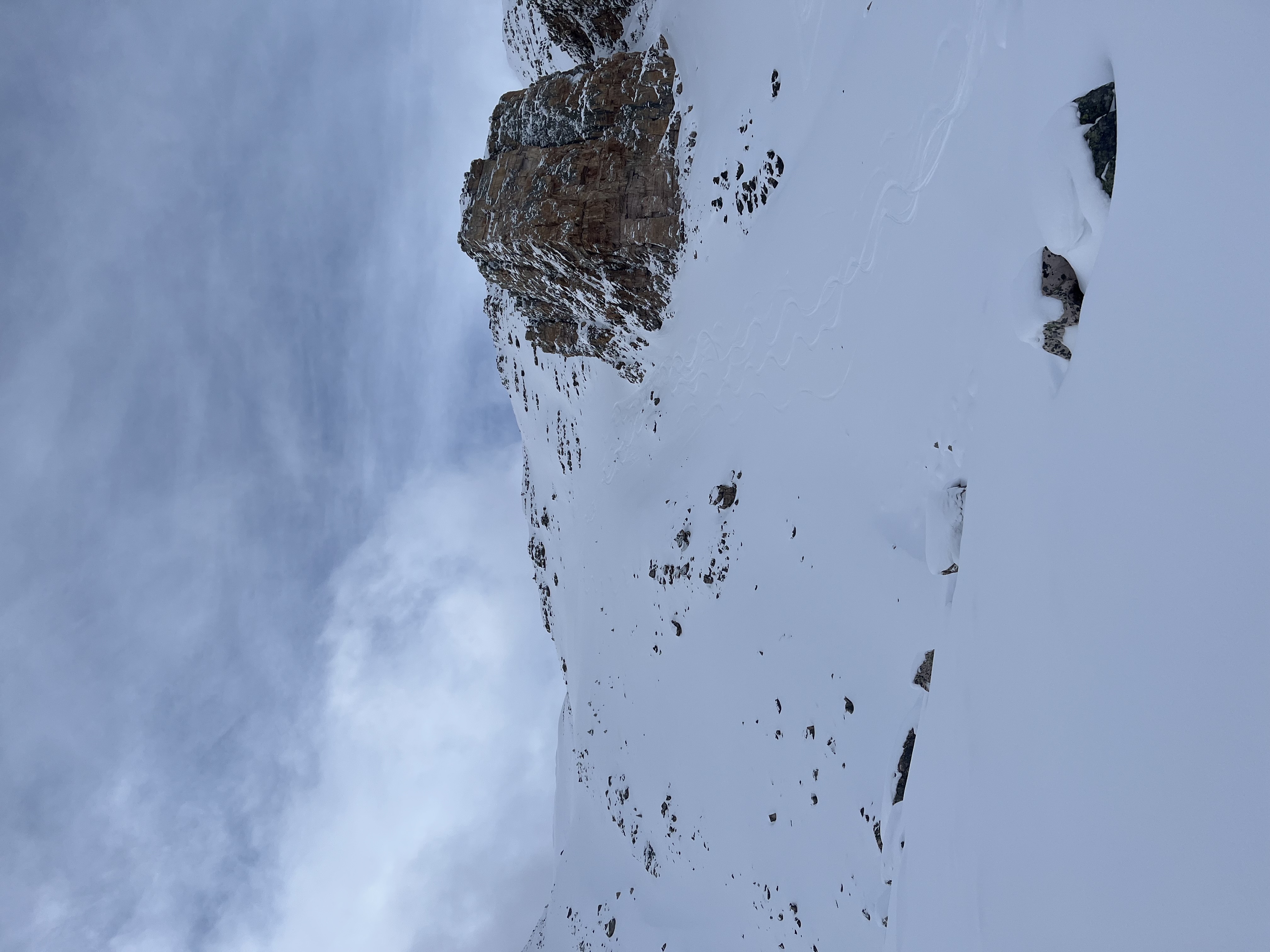 Observation photo