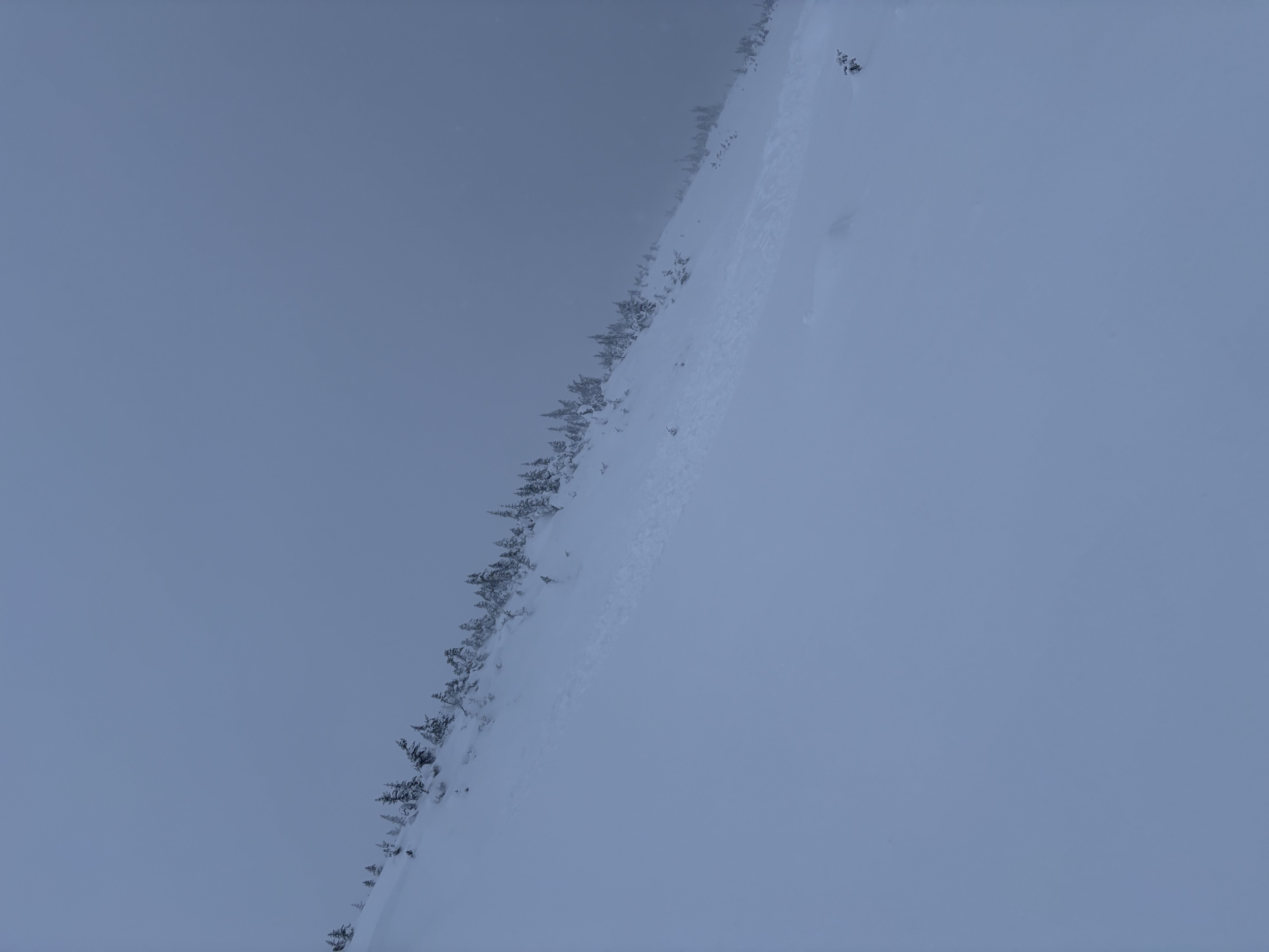 Observation photo
