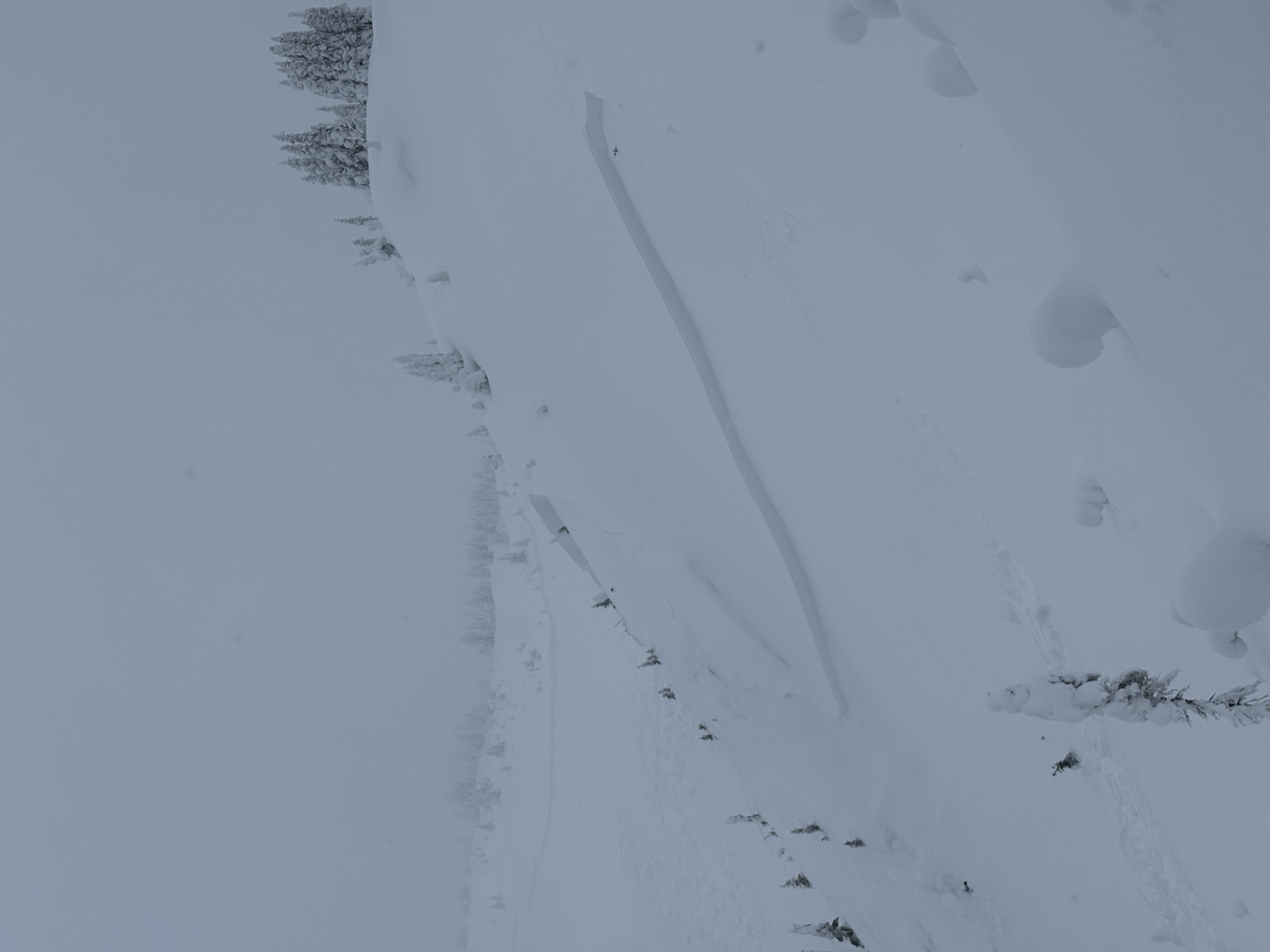 Observation photo