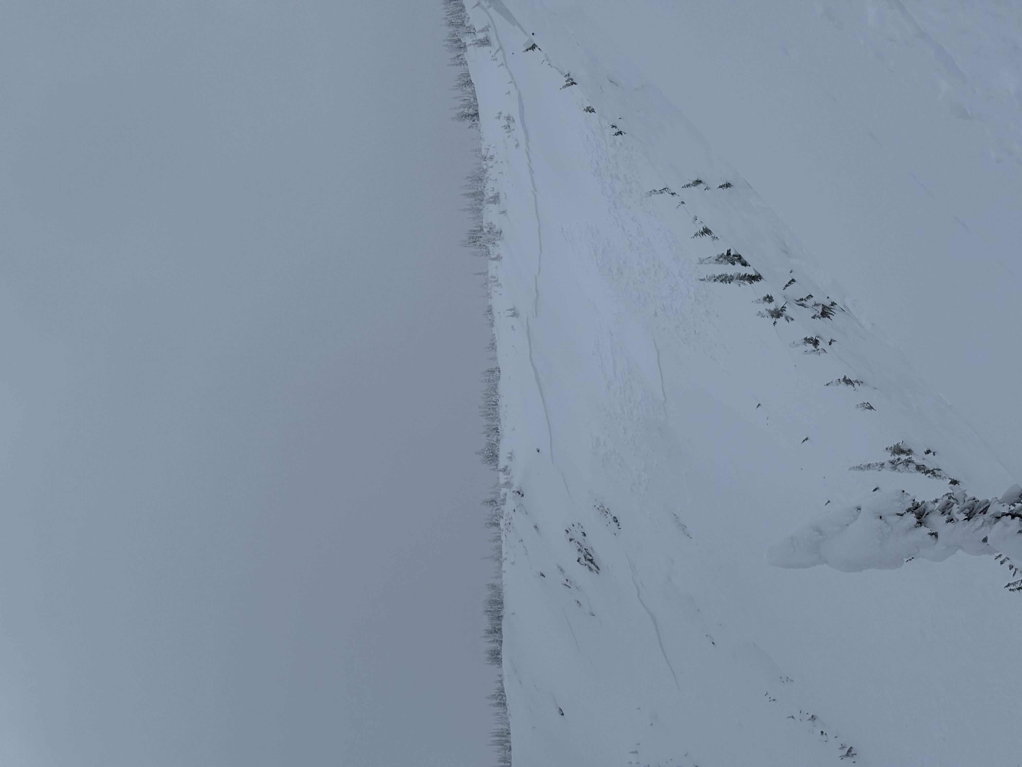 Observation photo