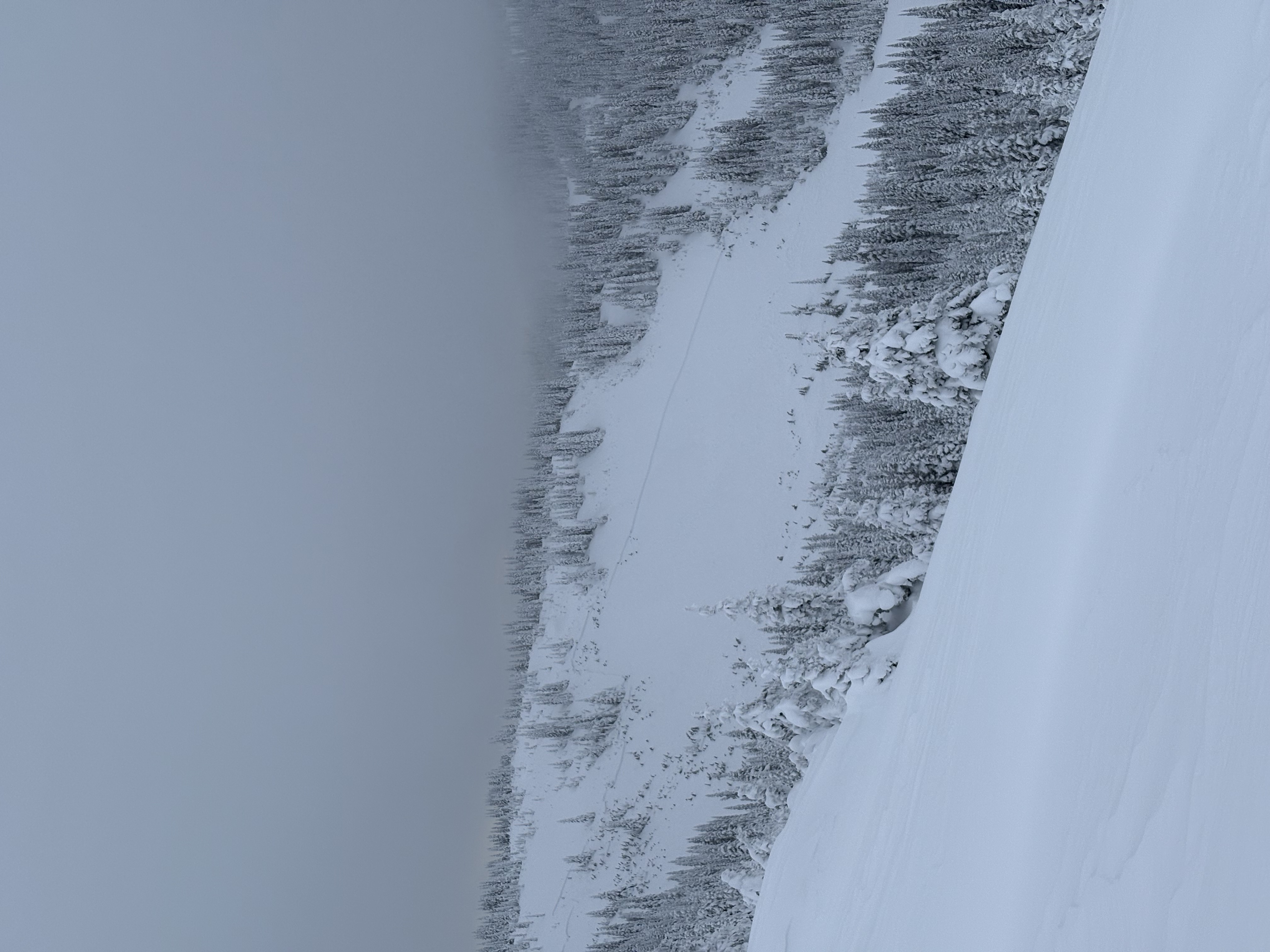 Observation photo