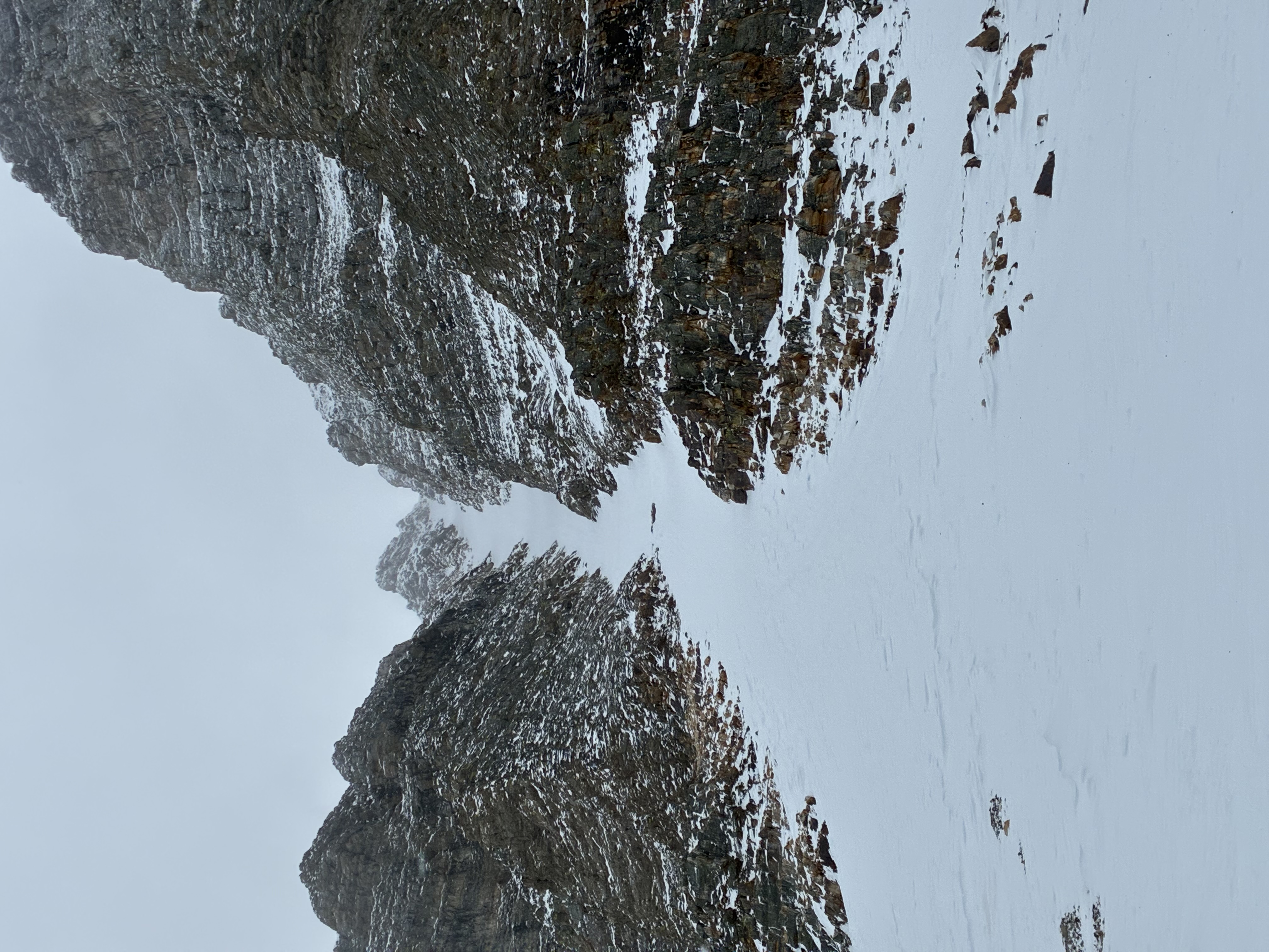 Observation photo