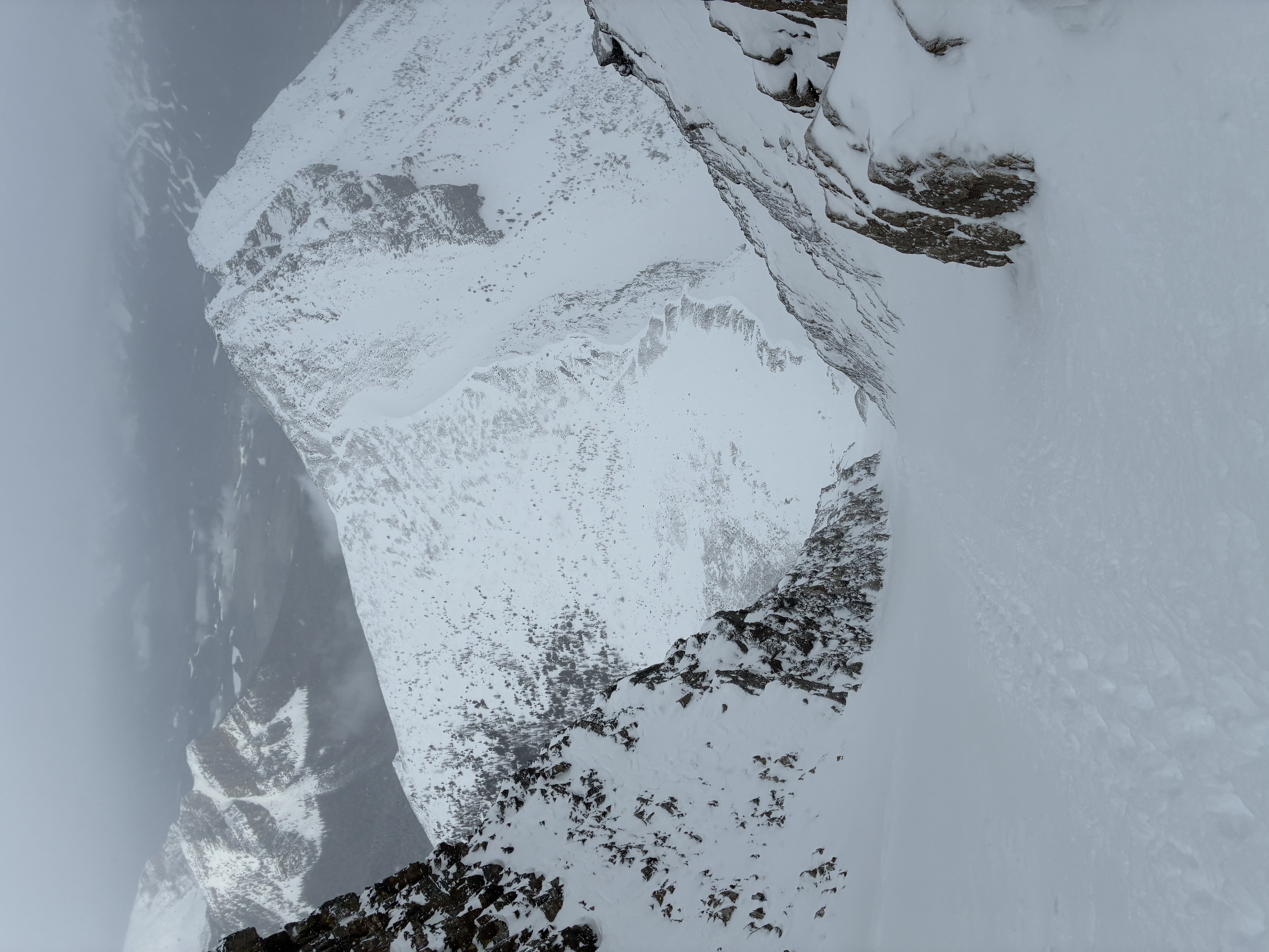Observation photo