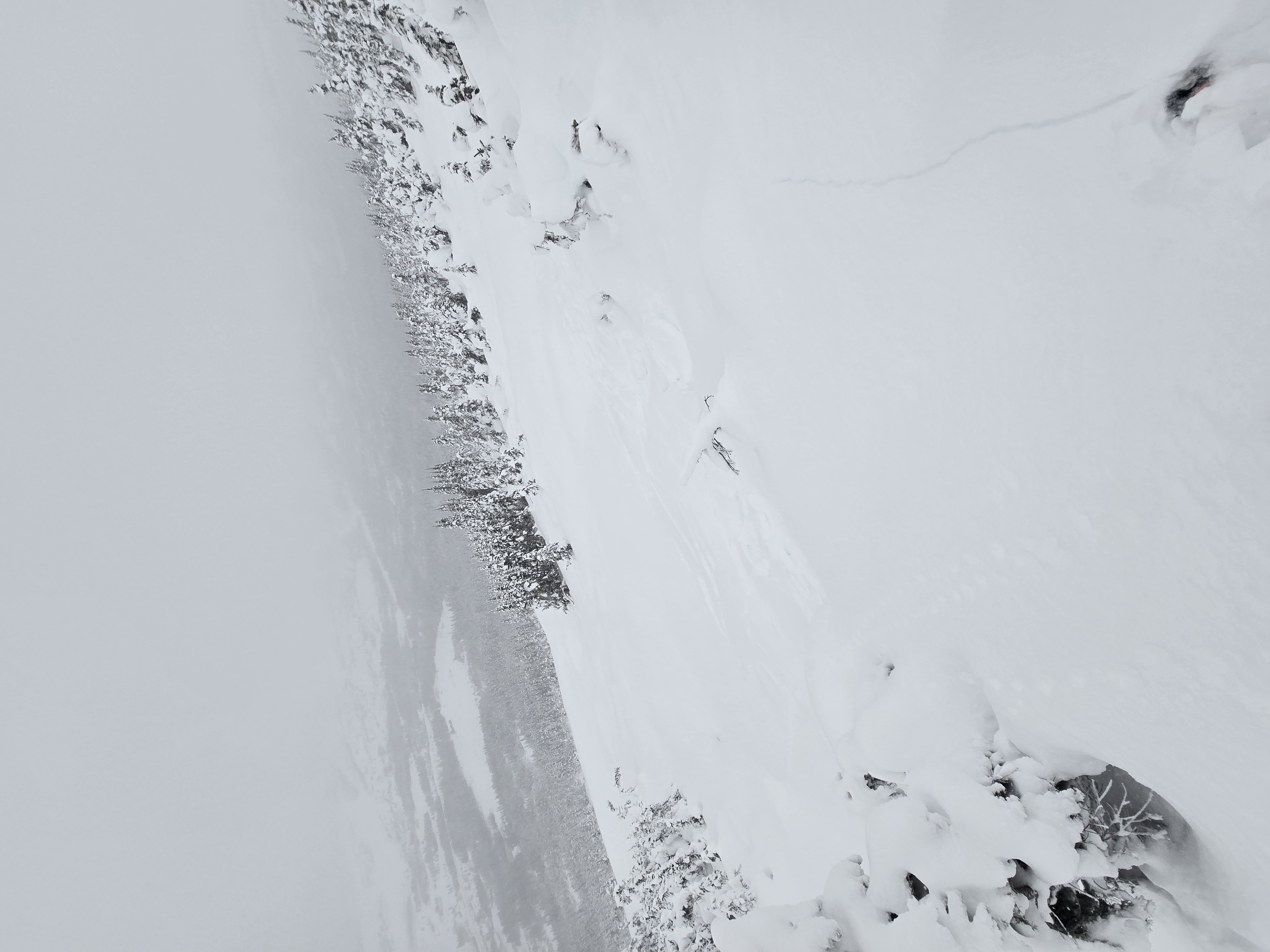 Observation photo
