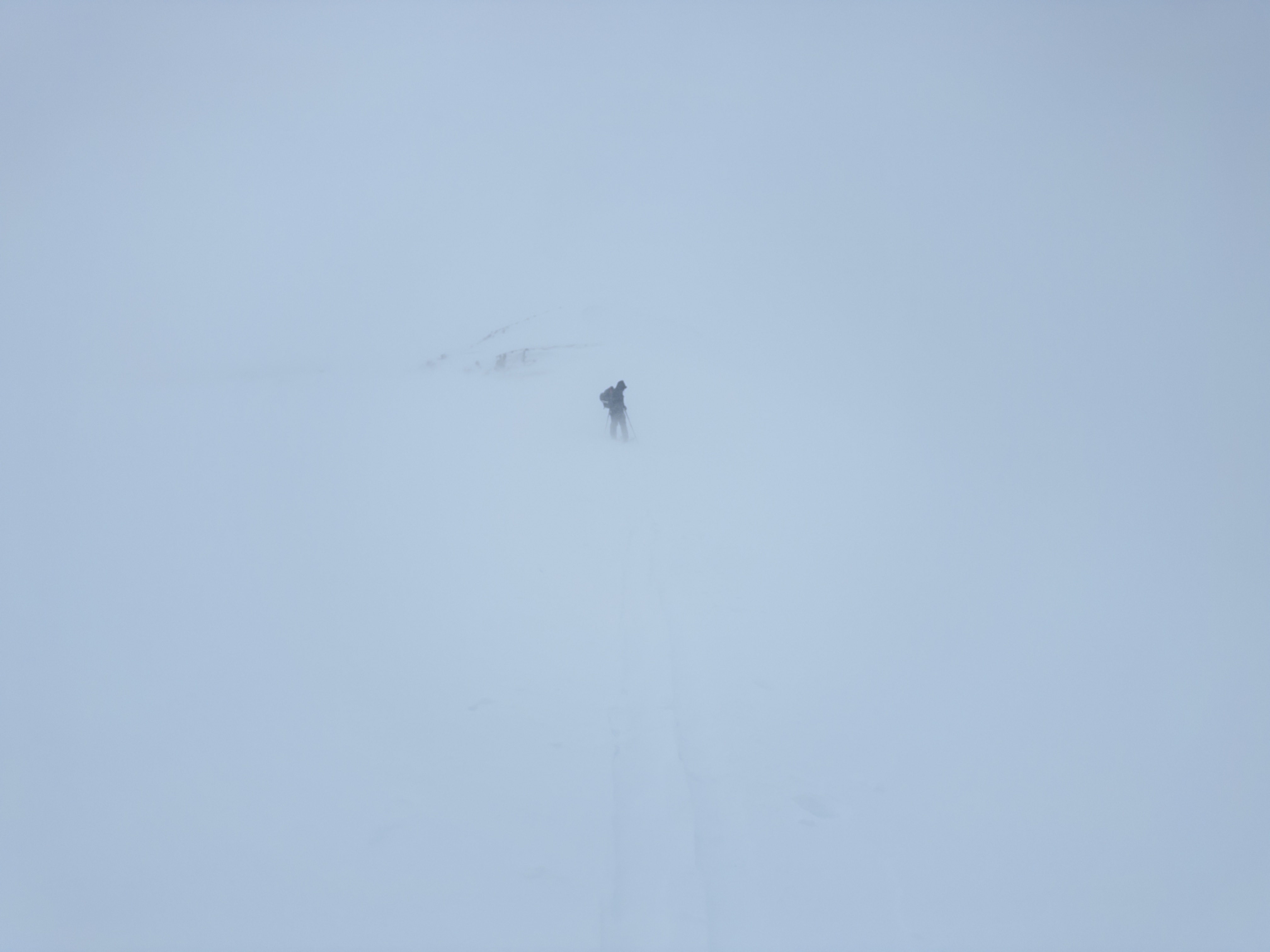 Observation photo