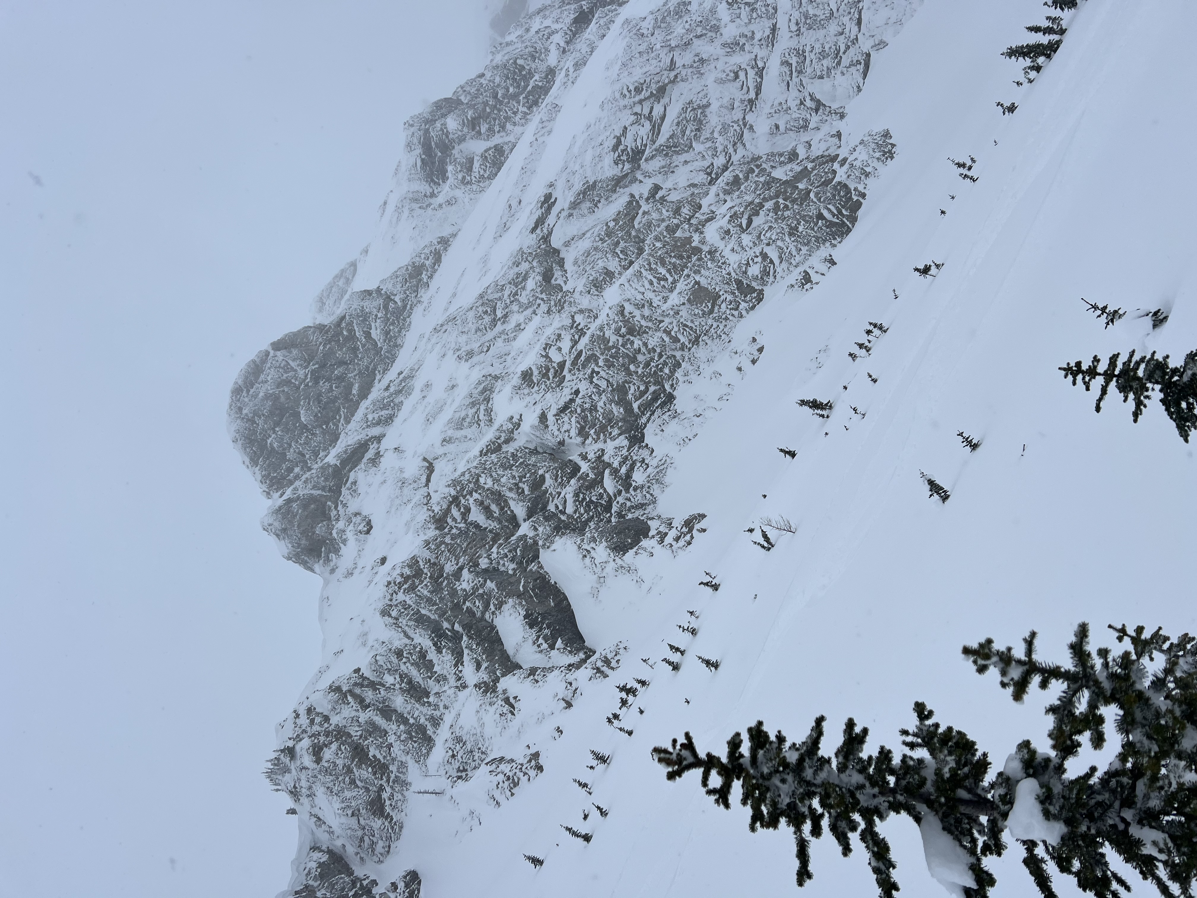 Observation photo
