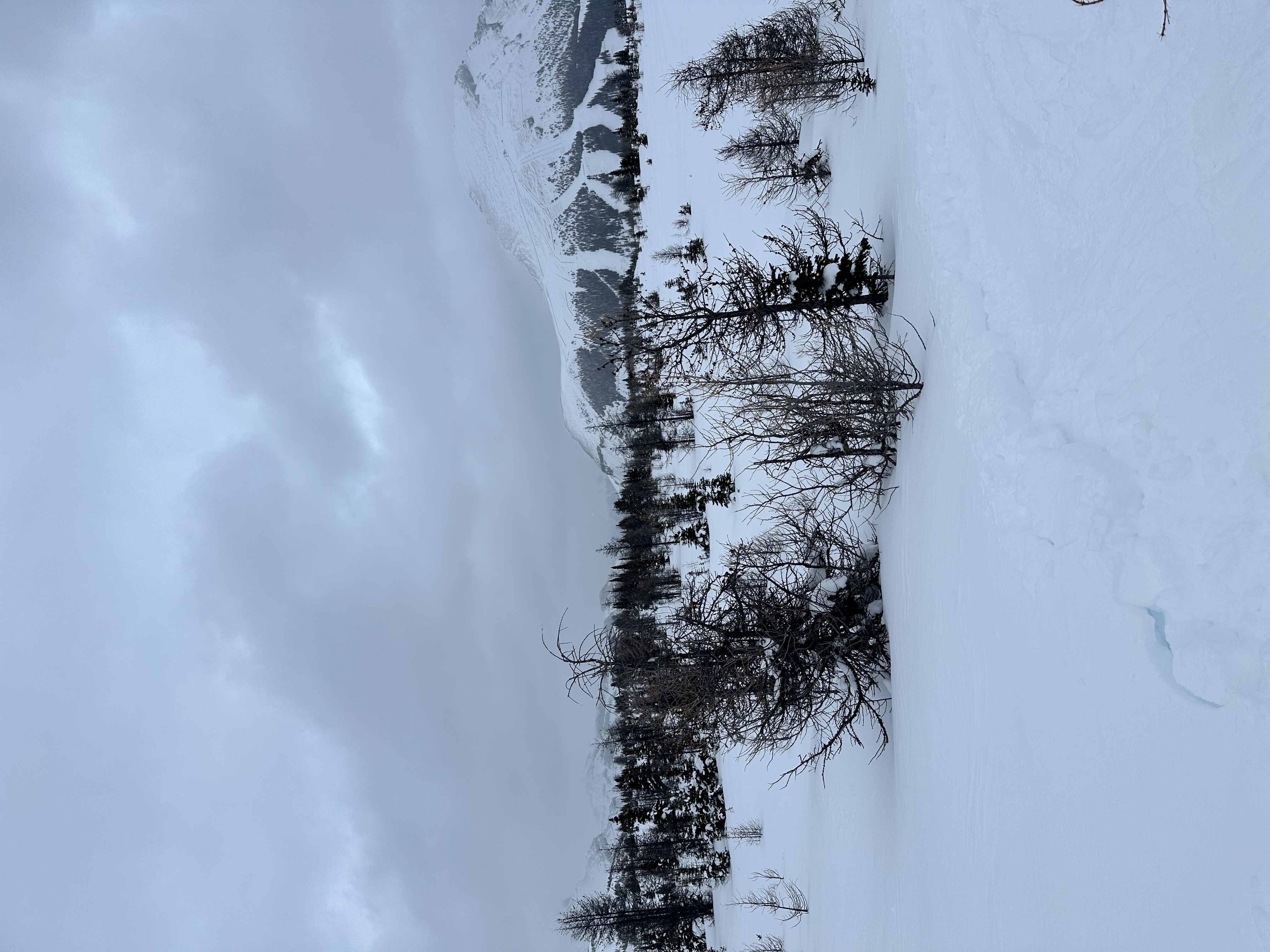 Observation photo