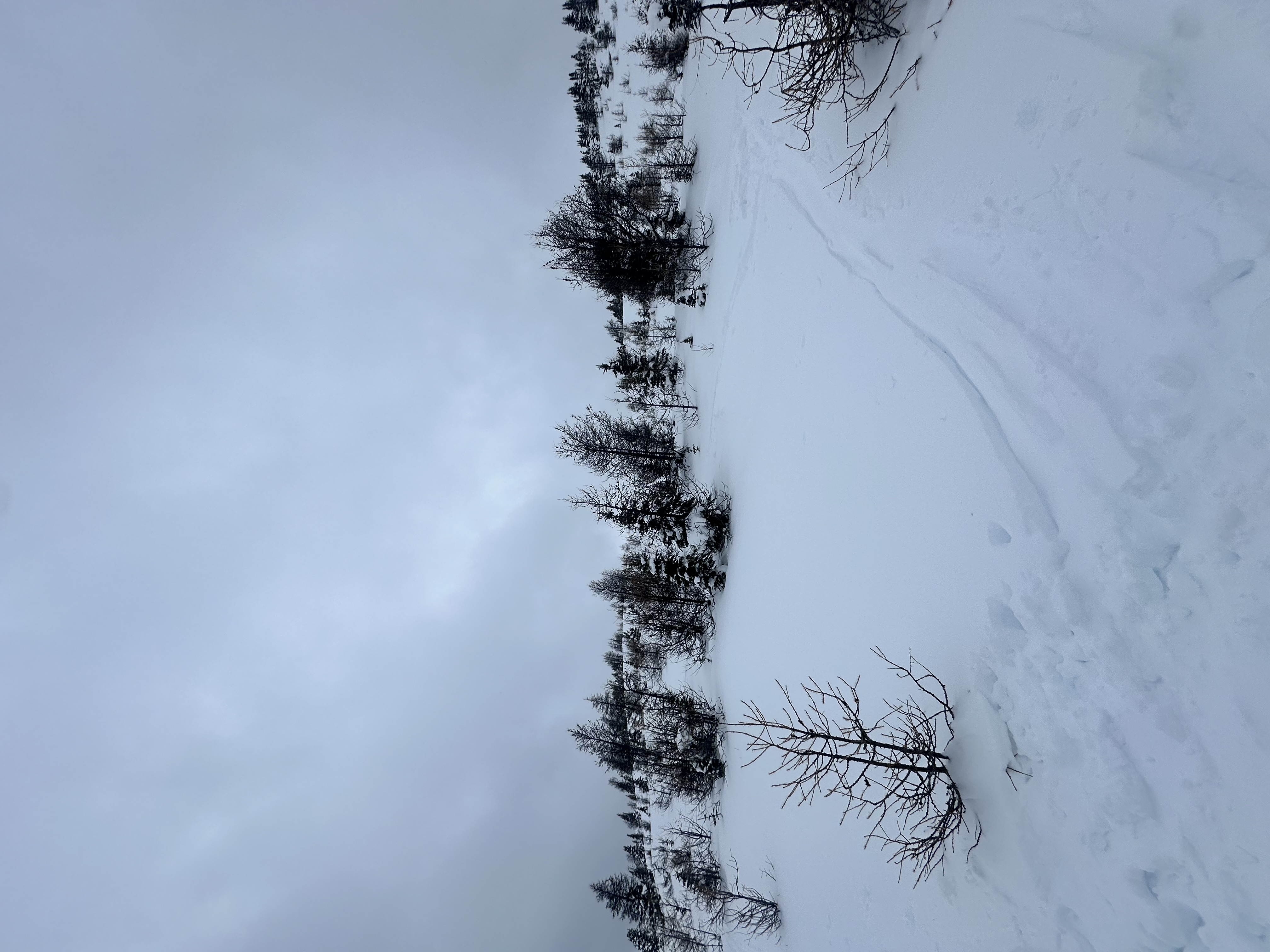 Observation photo