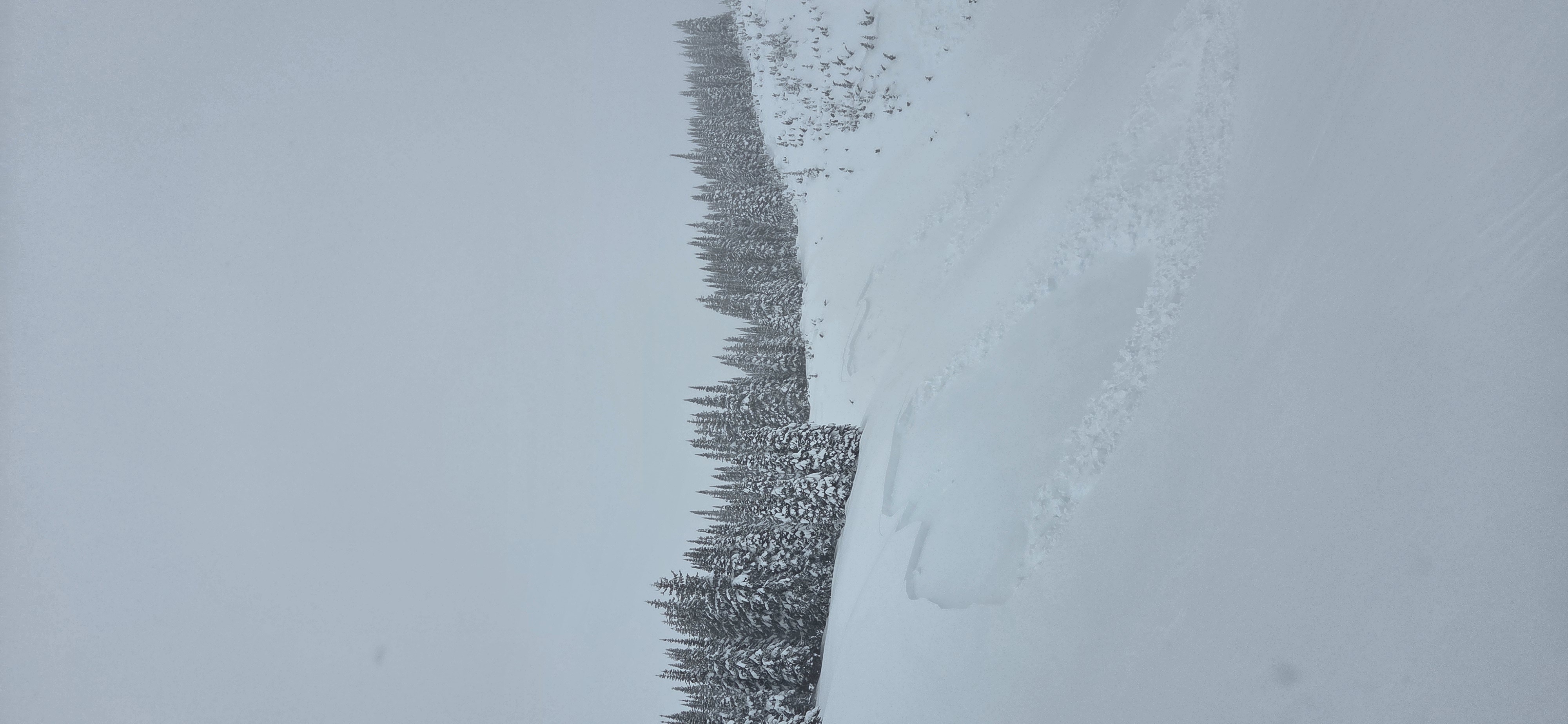 Observation photo