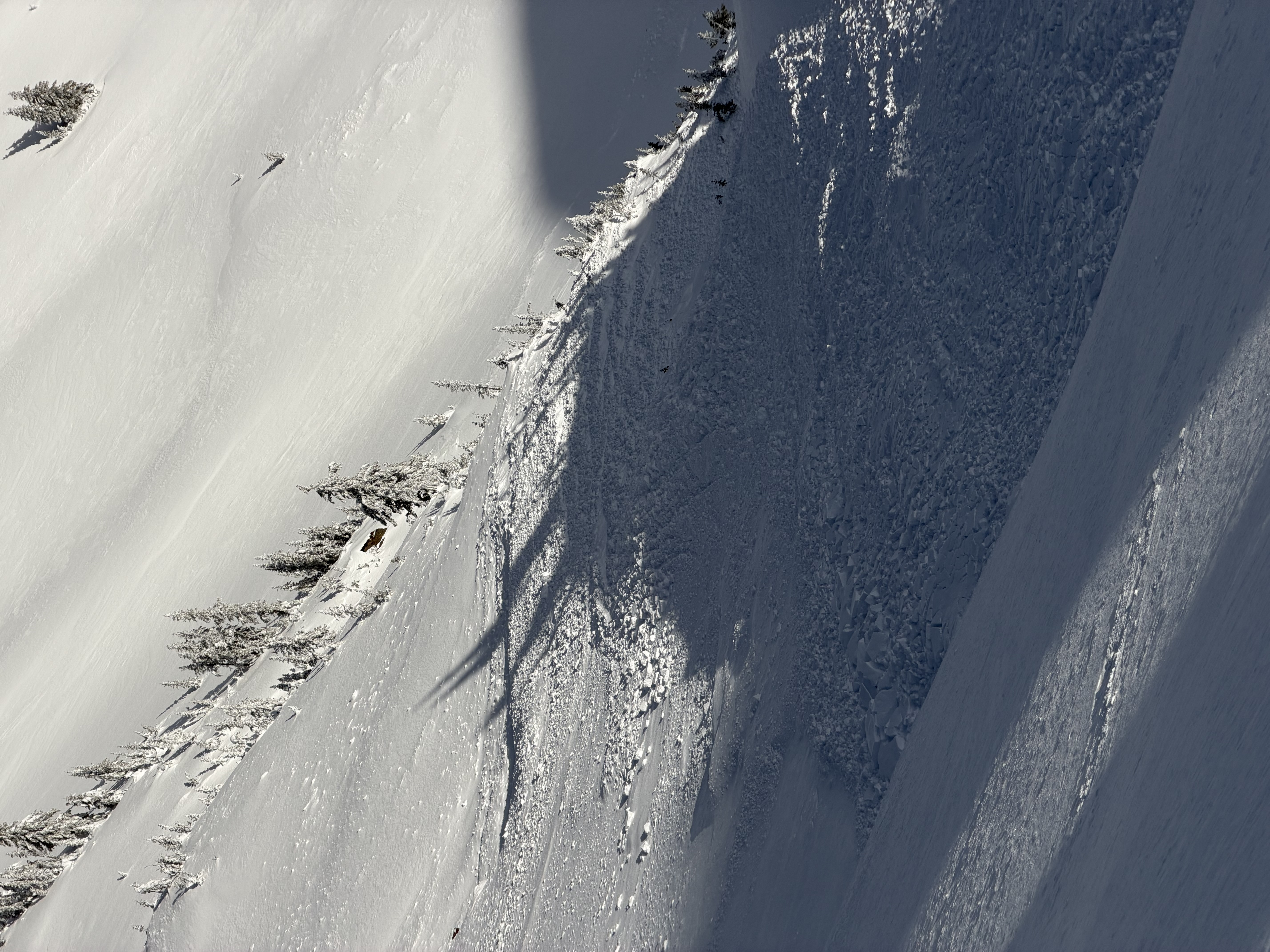 Observation photo