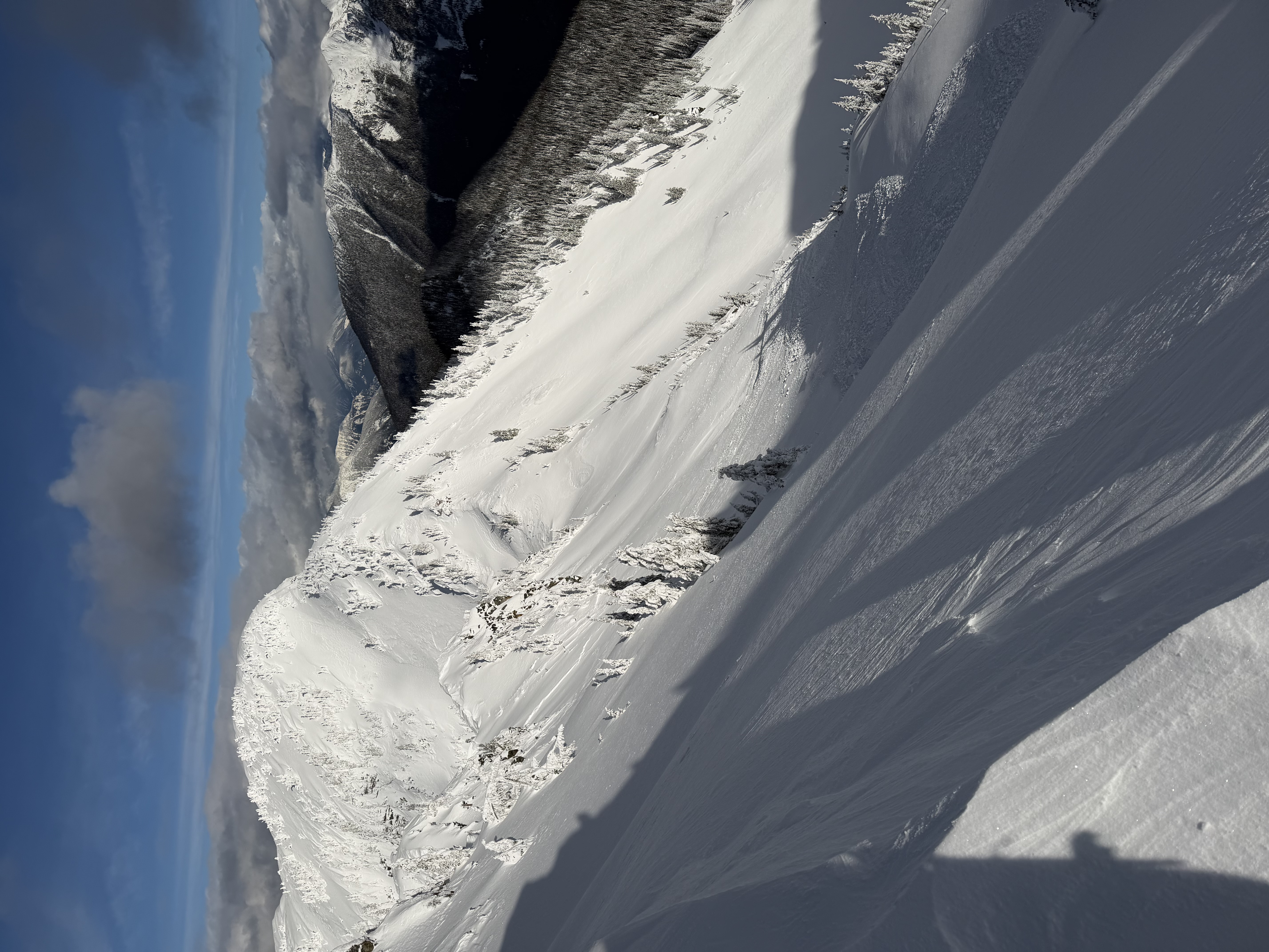 Observation photo