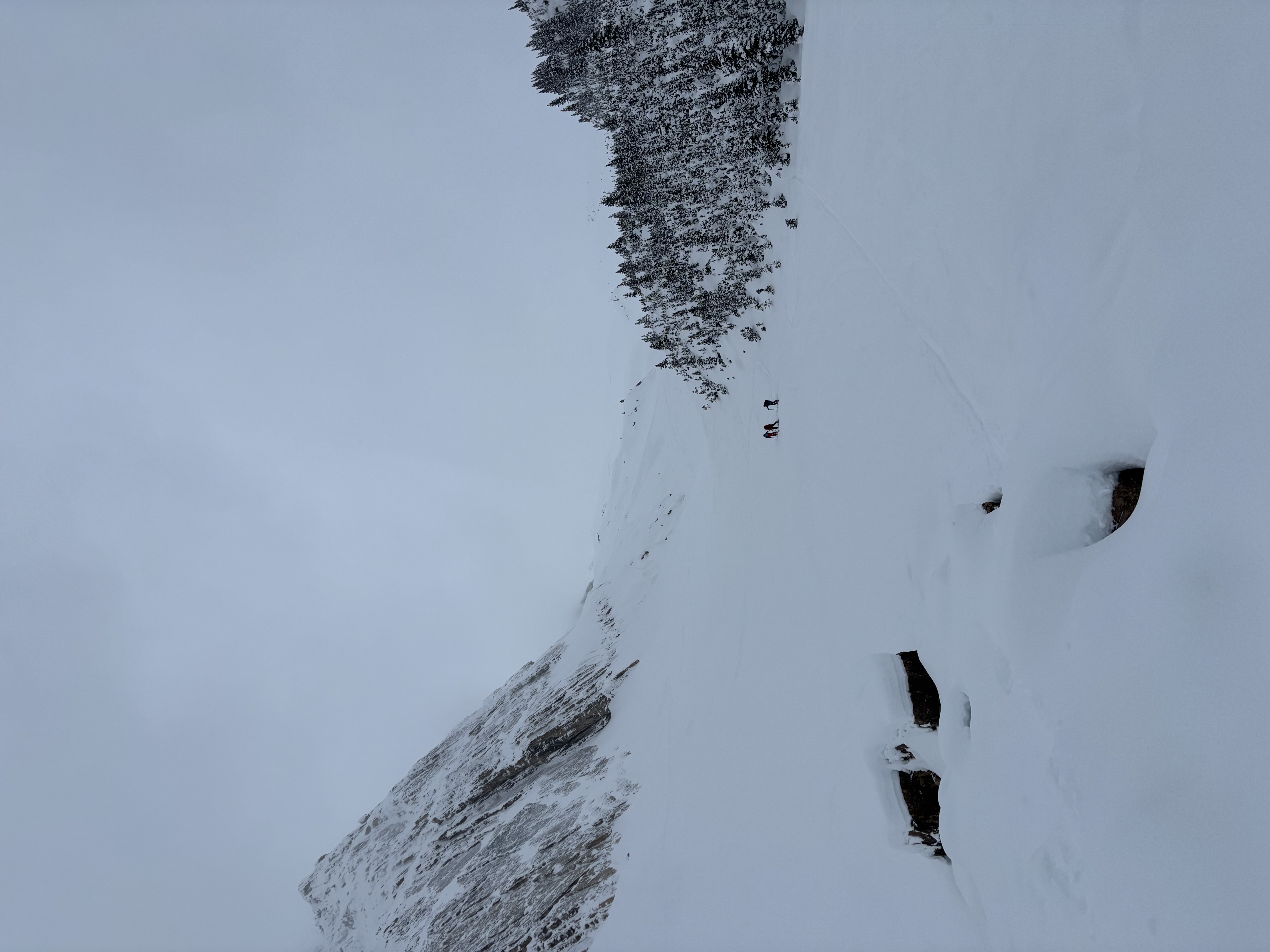 Observation photo