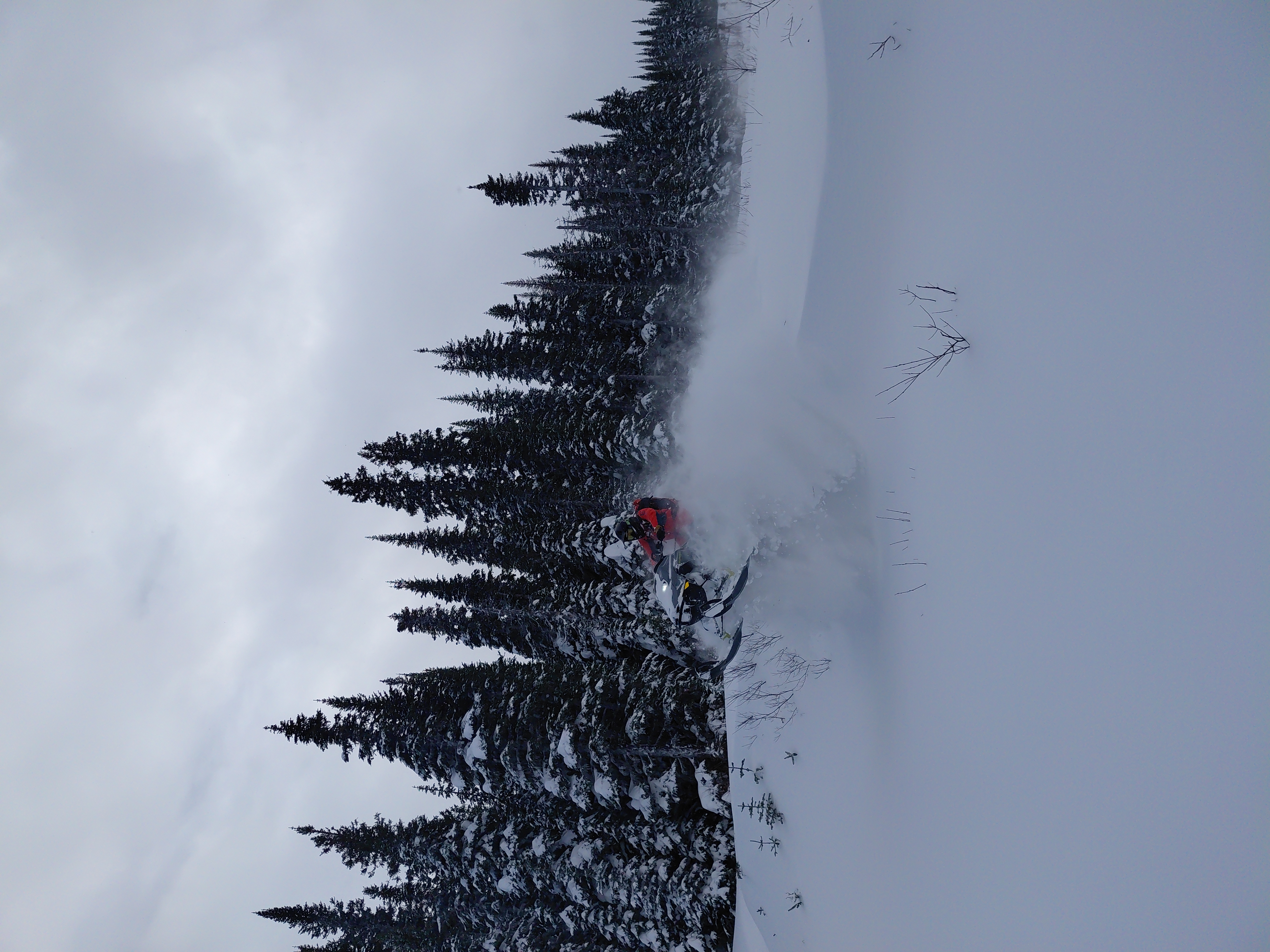 Observation photo
