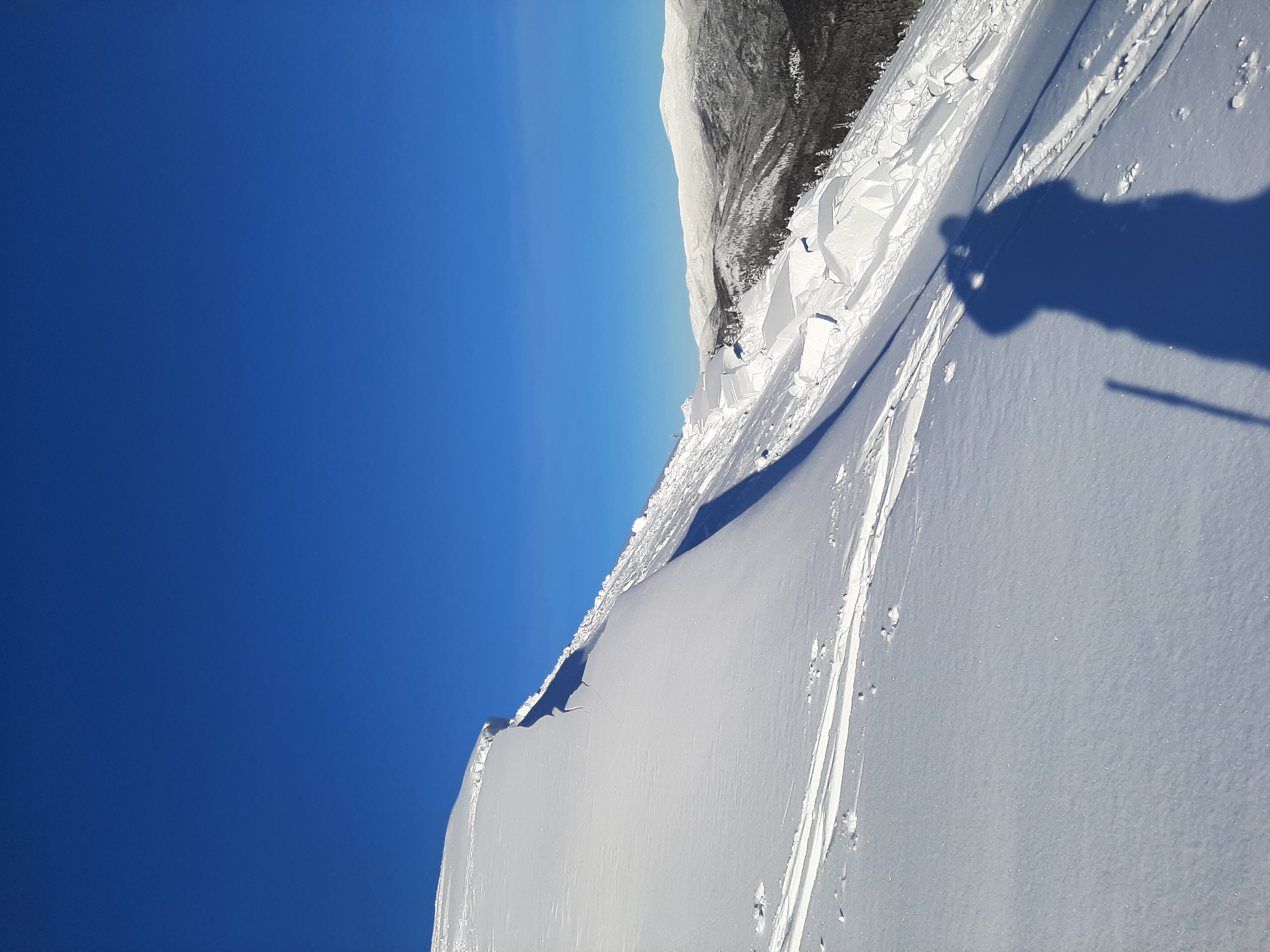 Observation photo