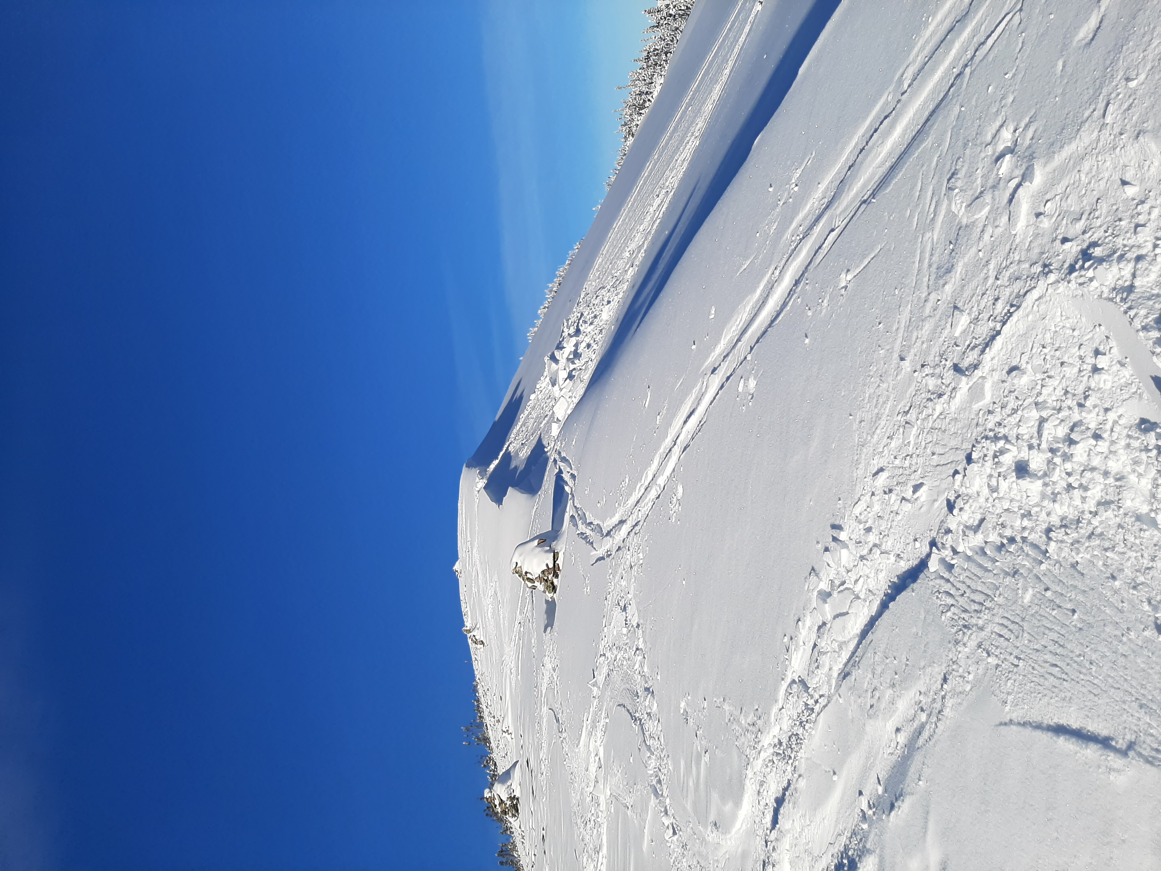 Observation photo