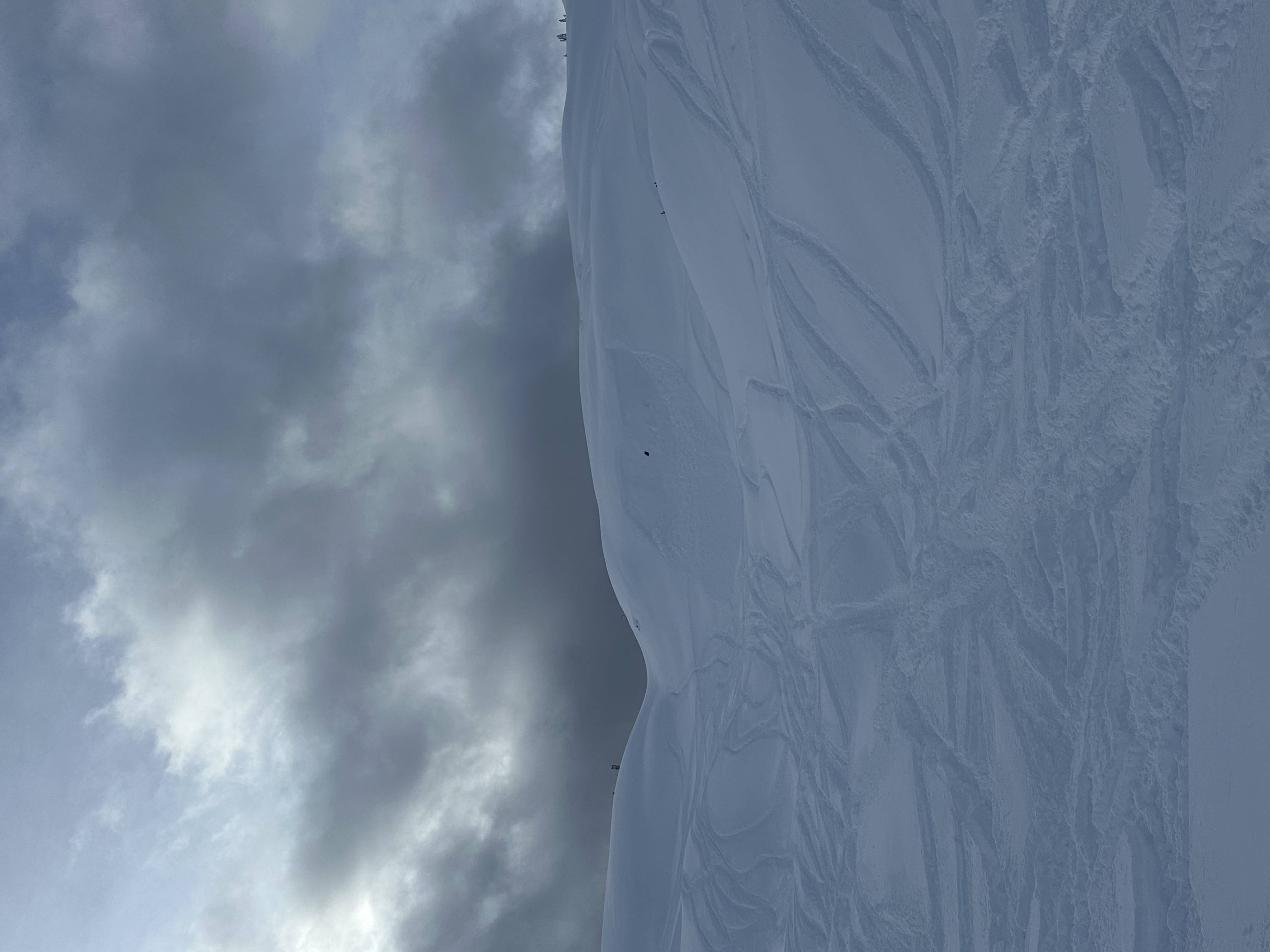 Observation photo
