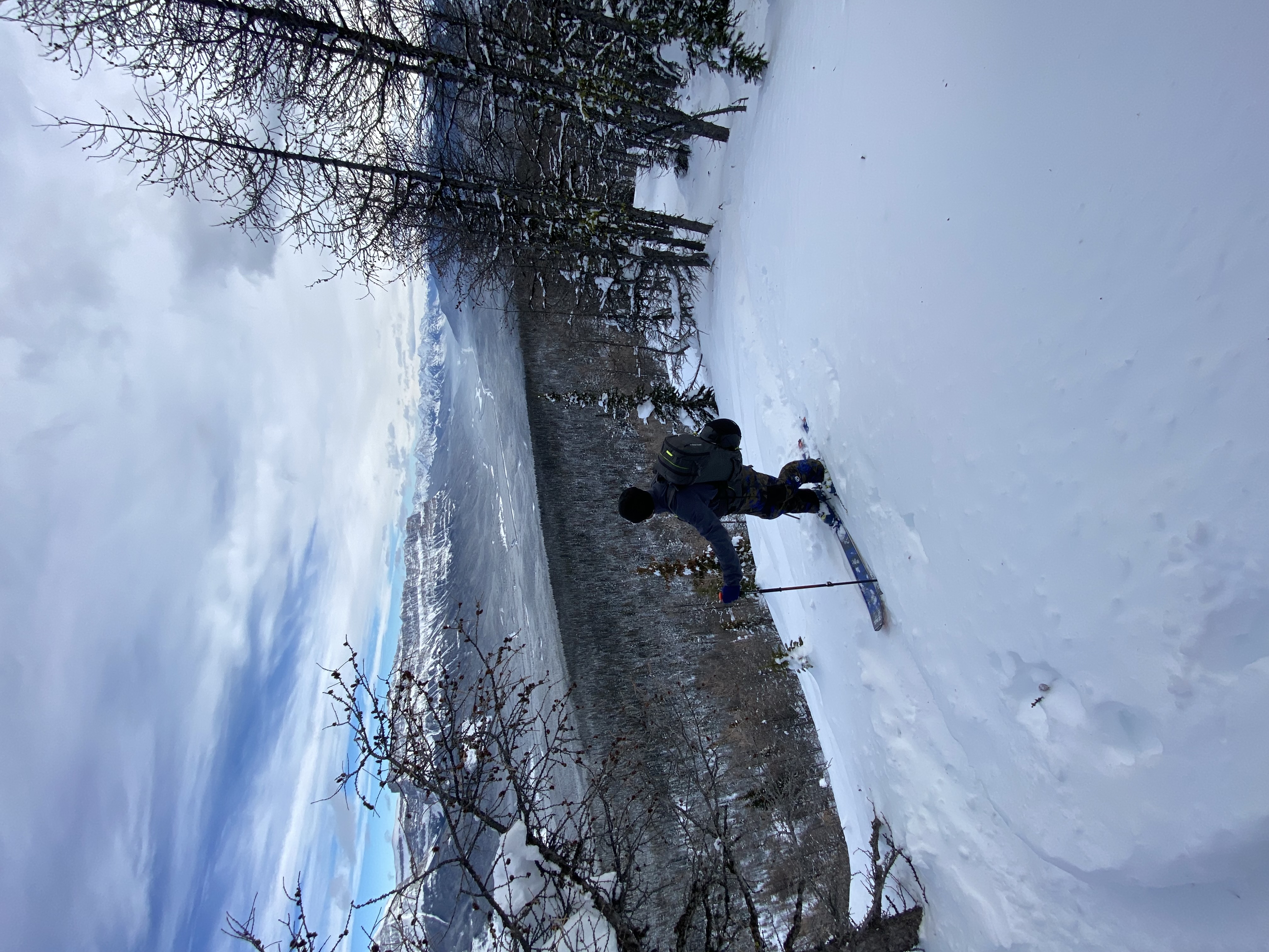 Observation photo