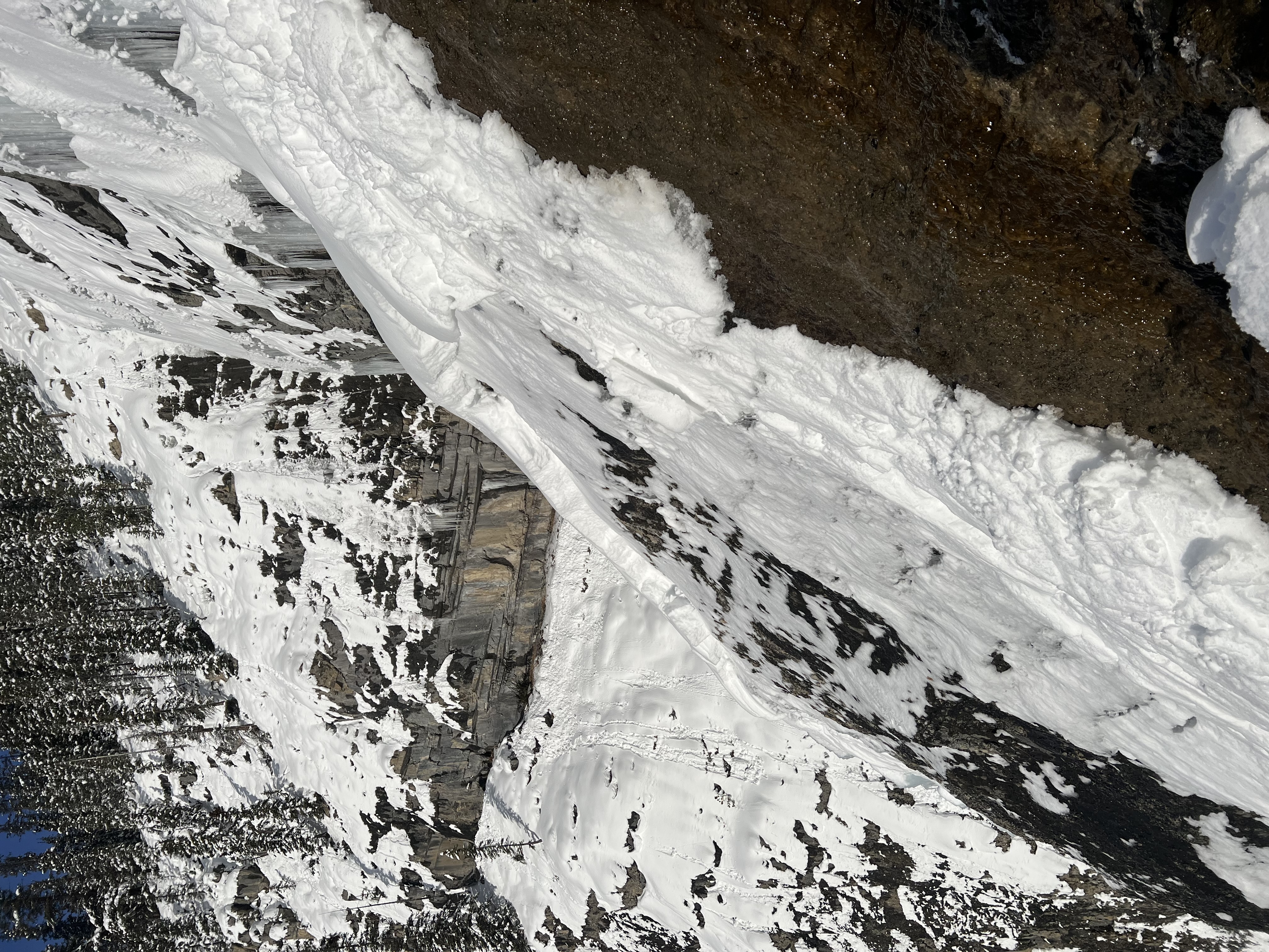Observation photo