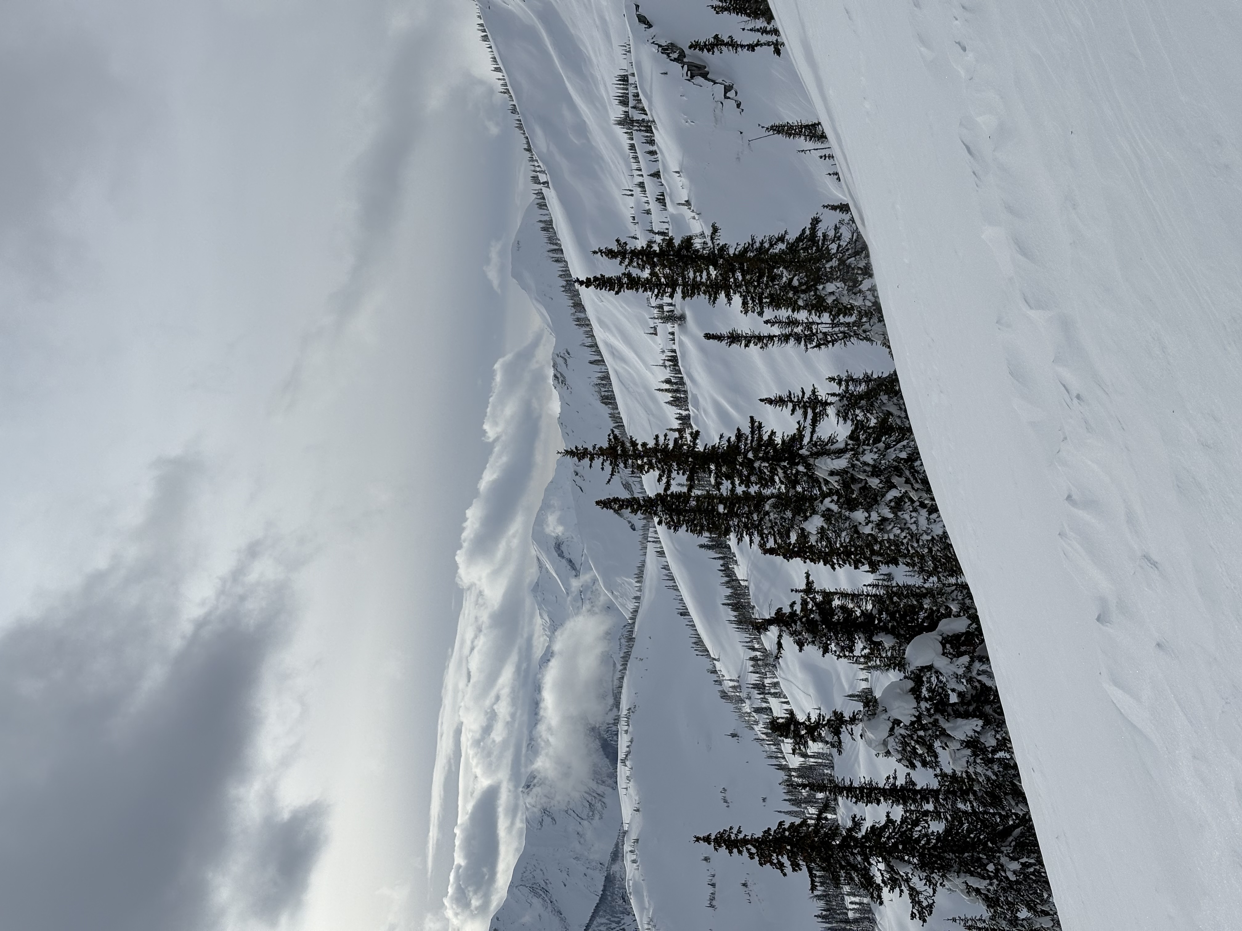 Observation photo